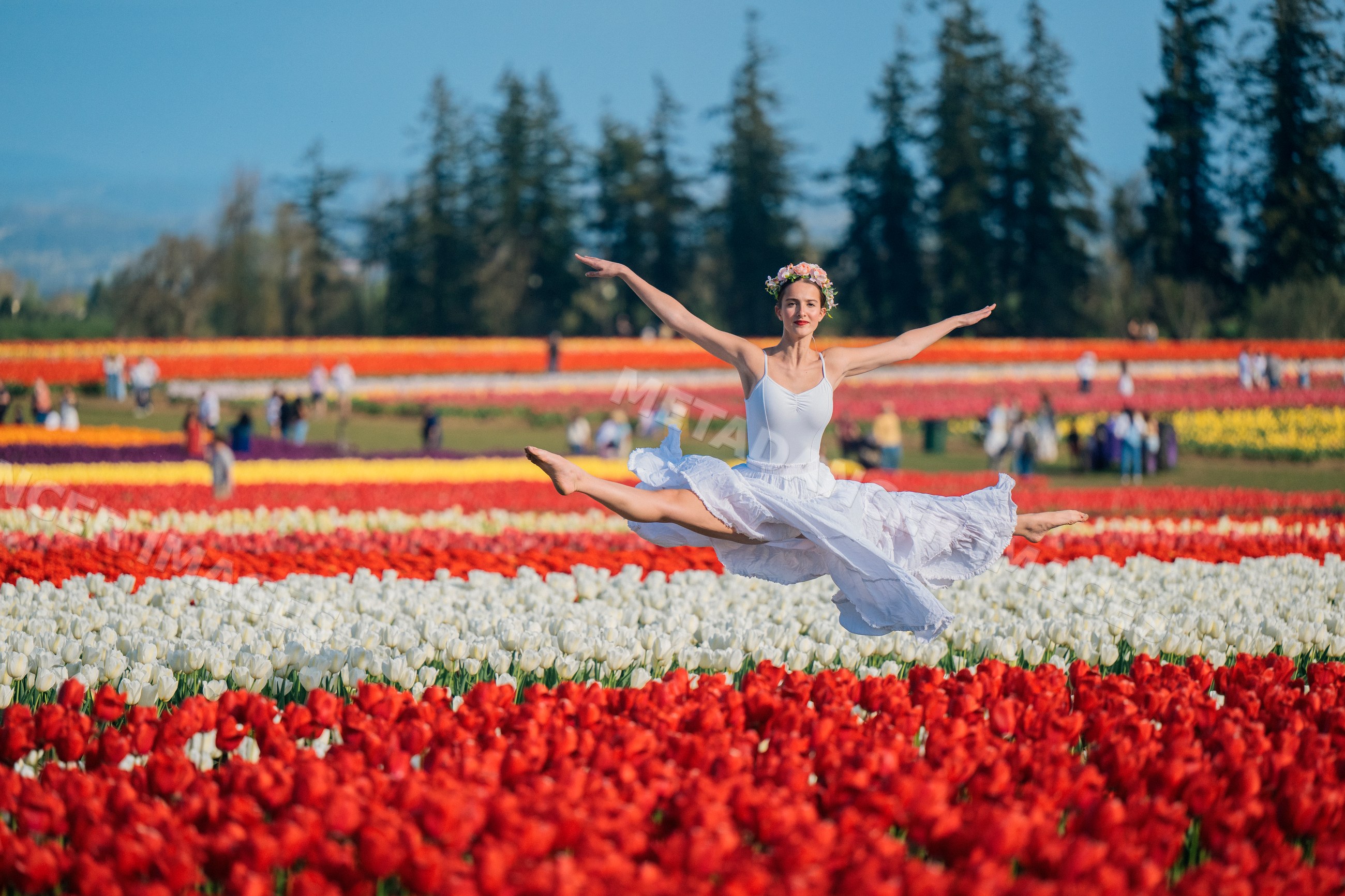 Ballet white dancer leaping in colorful tulip field