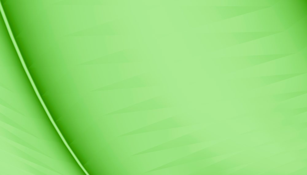 Green leaf close-up showing natural texture and vein detail