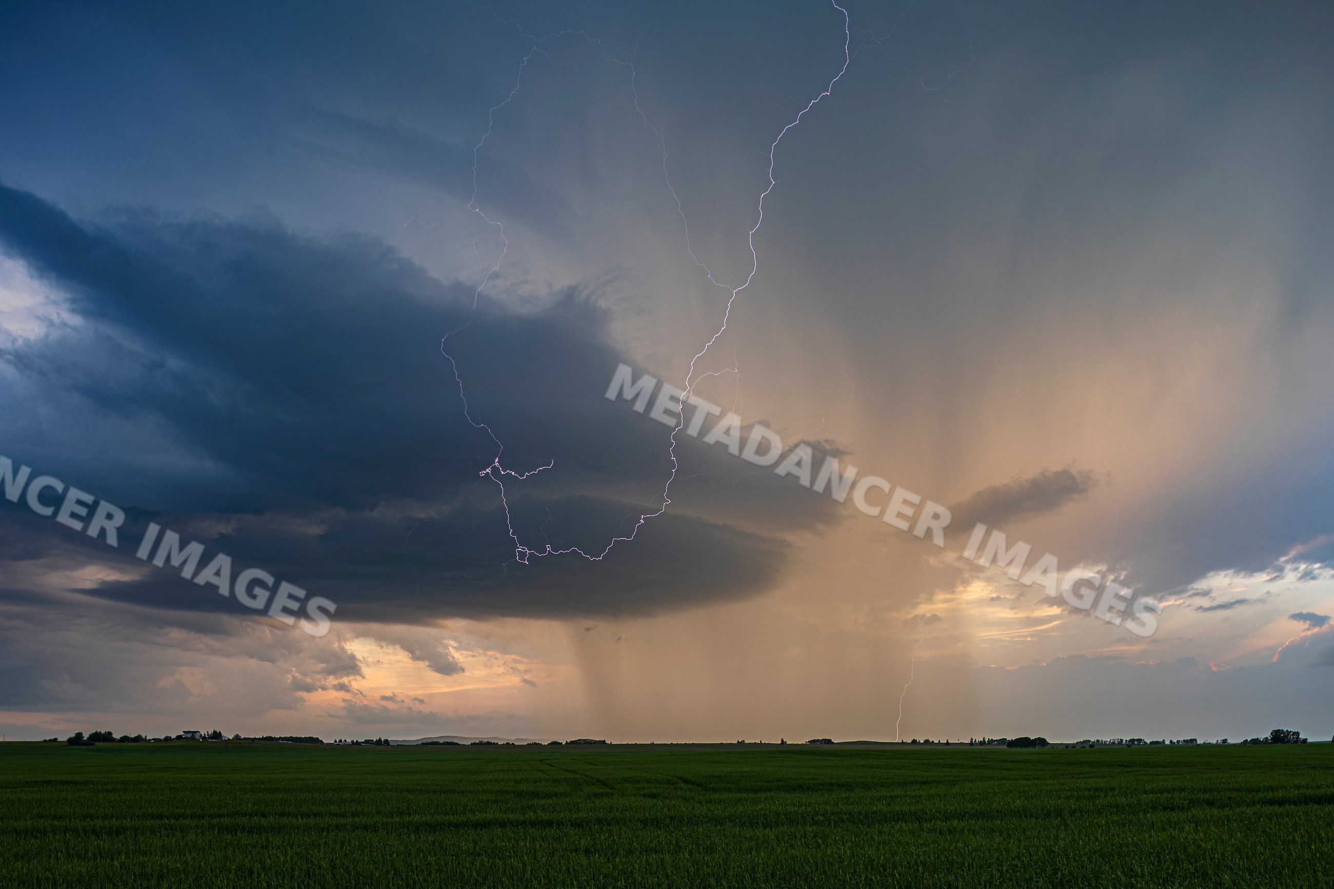 Lightning Strike during an afternoon Storm over green field