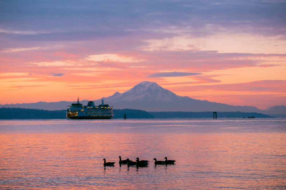 Sunset view of mount rainier with ferry and geese