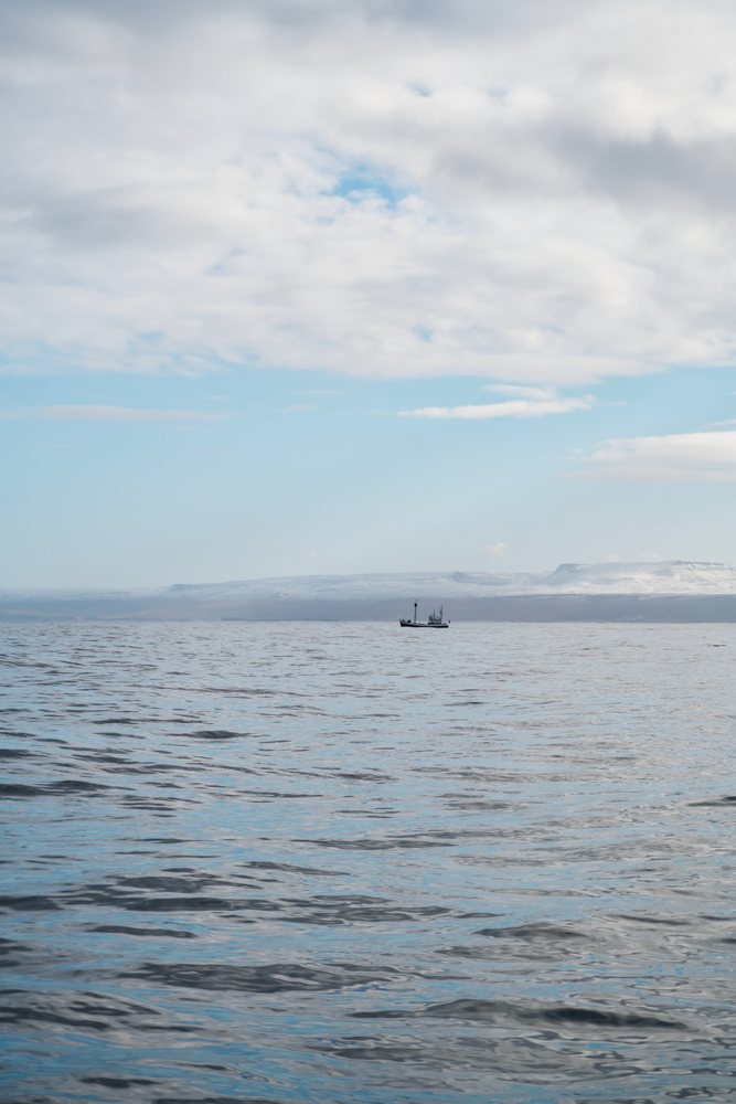 A fishing boat floats on calm waters with snowy hills