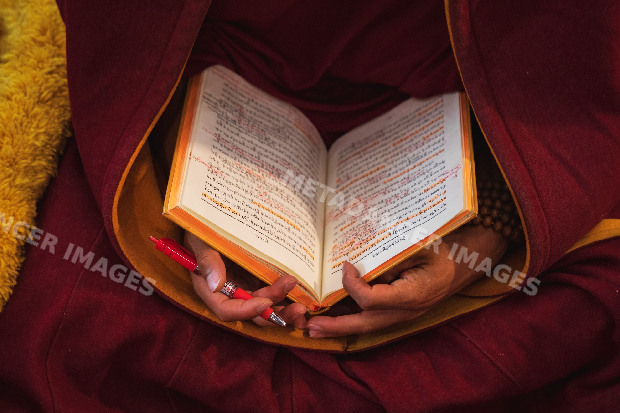 Monk studying buddhist text inside sexusi monastery