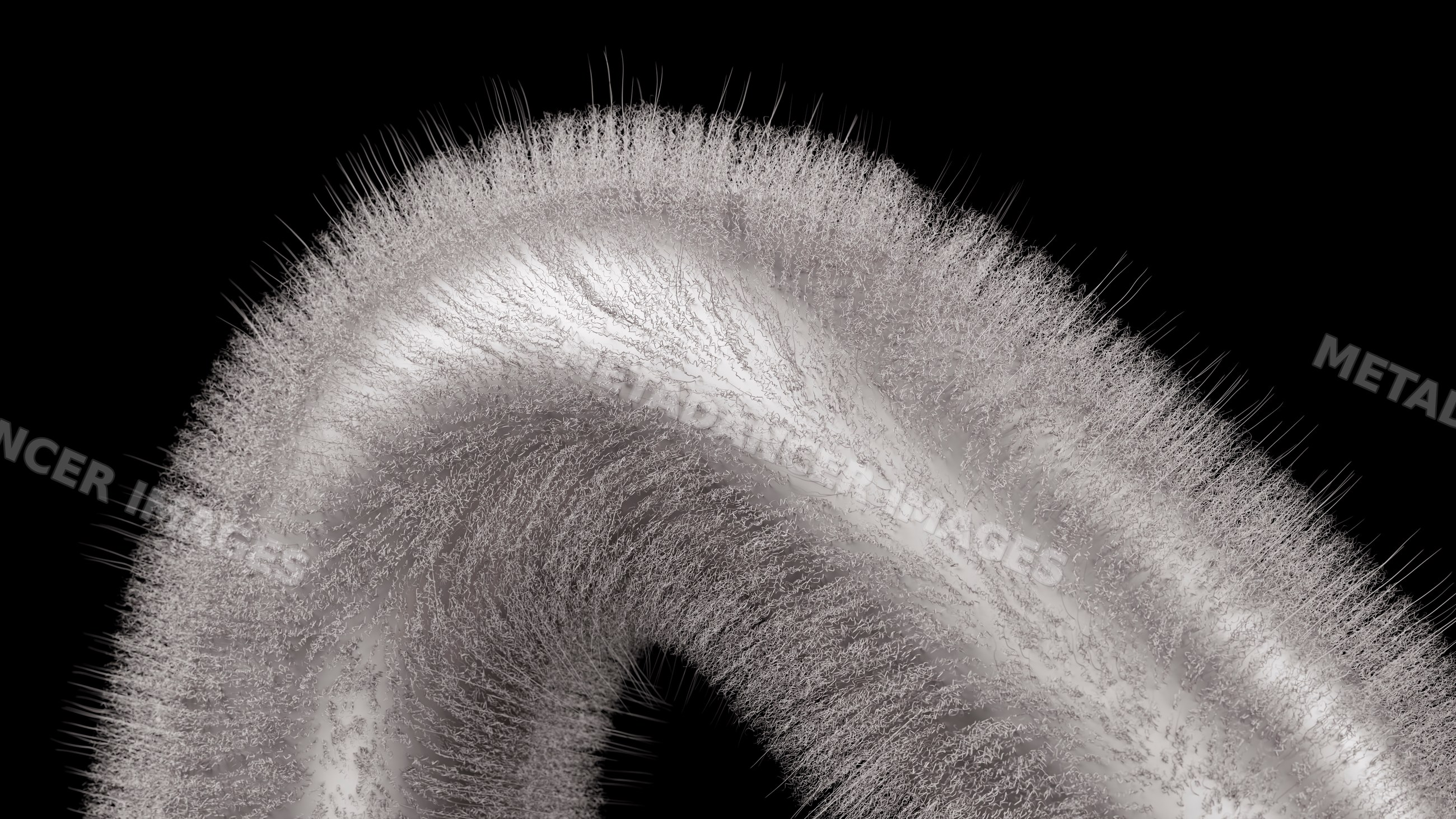 Digital illustration of a curved form with fine hair-like fibers