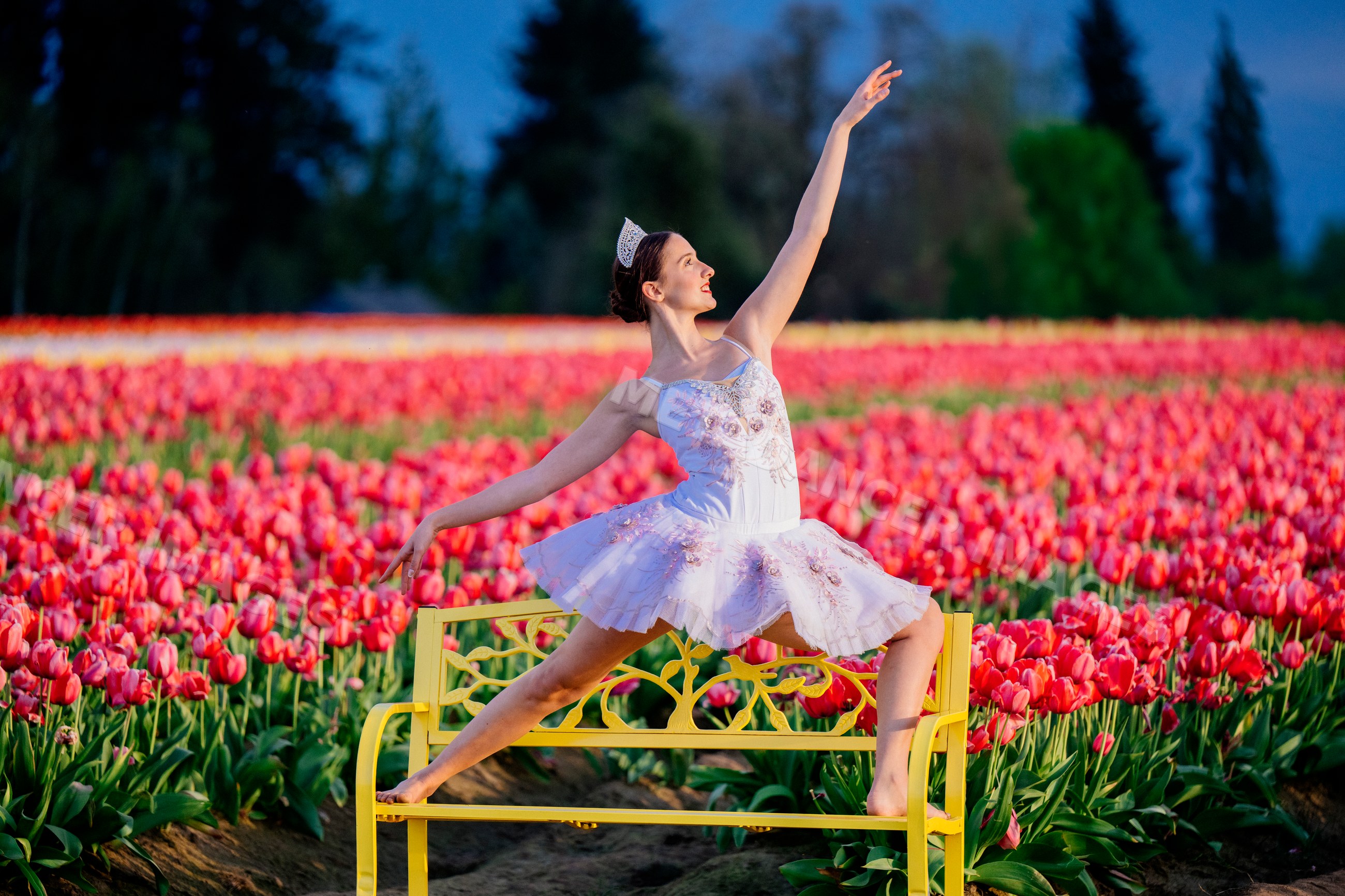 Ballet white dancer striking graceful pose on yellow bench