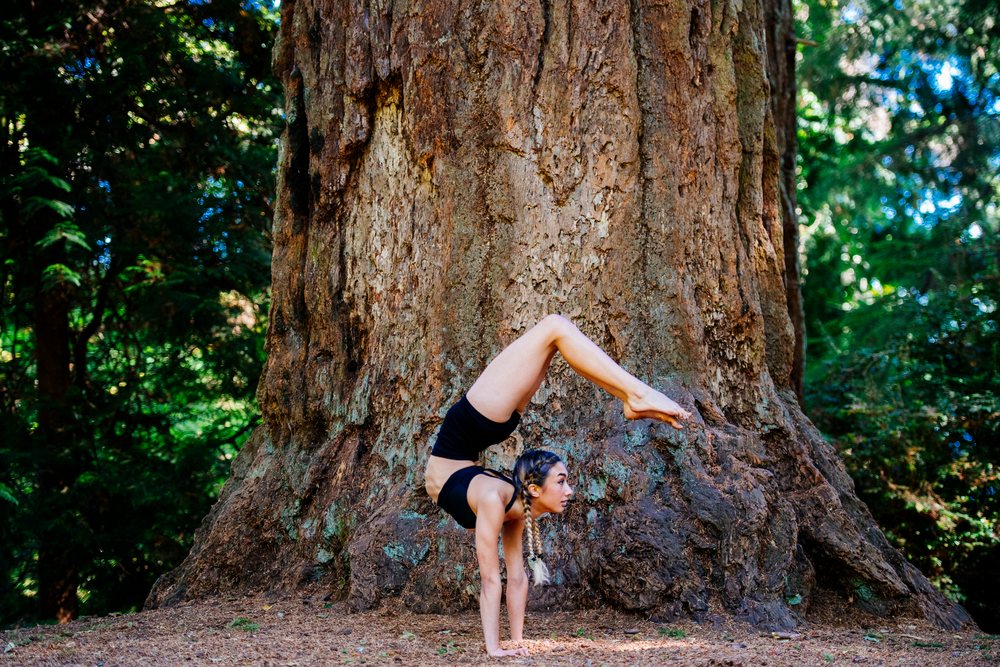 Contortionist performing handstand against tree in forest