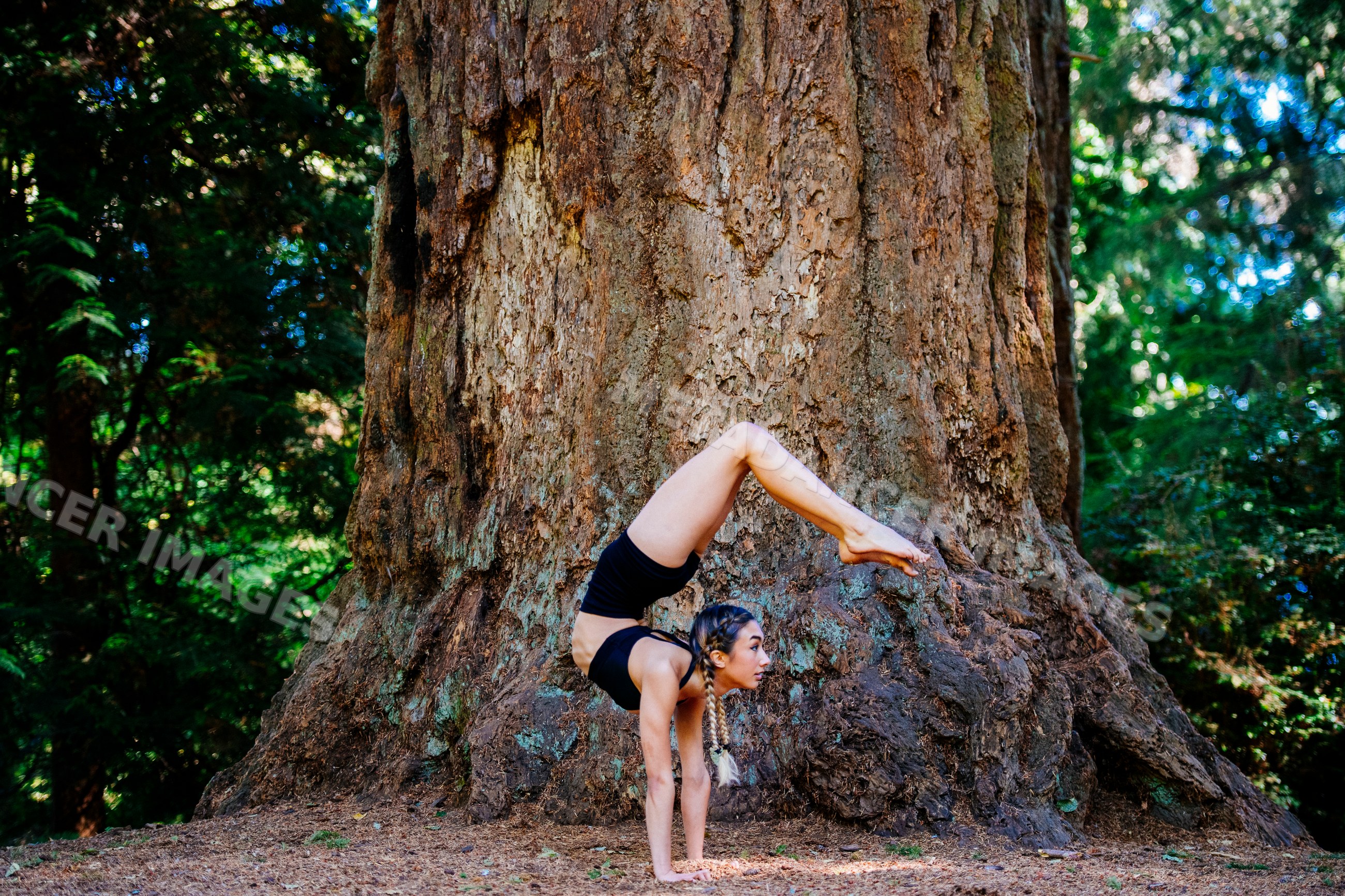 Contortionist performing handstand against tree in forest