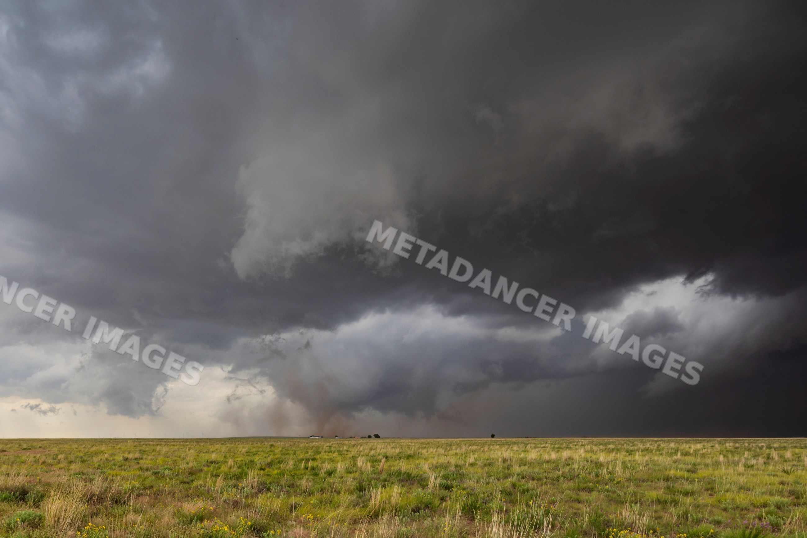 Tornado touching down in grassland field under storm clouds in morton