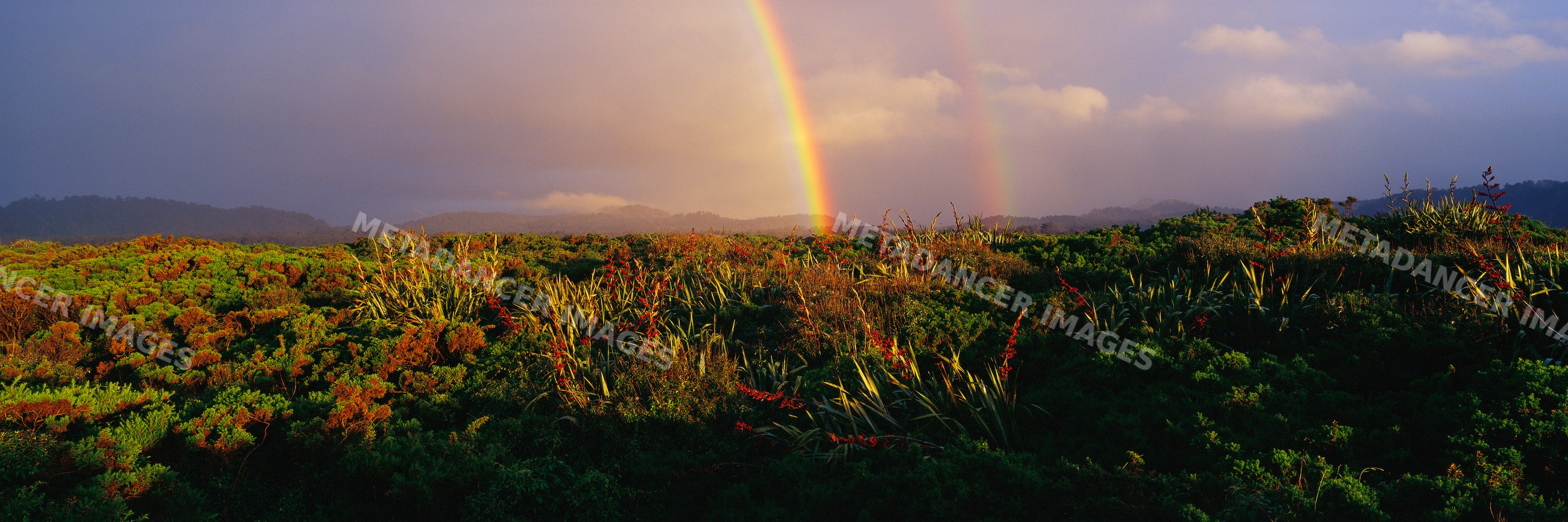 Double rainbow over green shrubland with mountains and cloudy sky