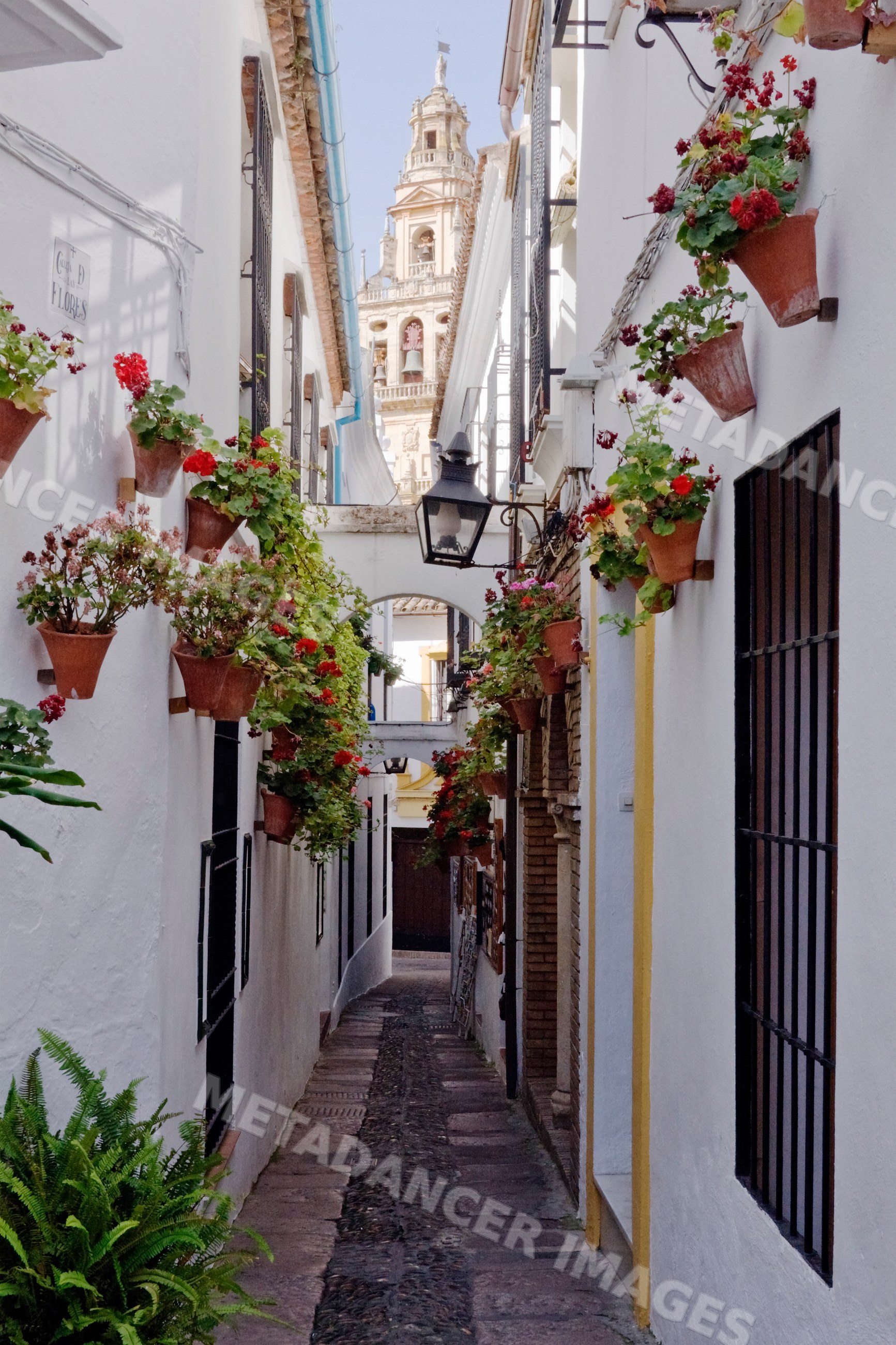 Narrow andalusian street adorned with flower pots and historic tower