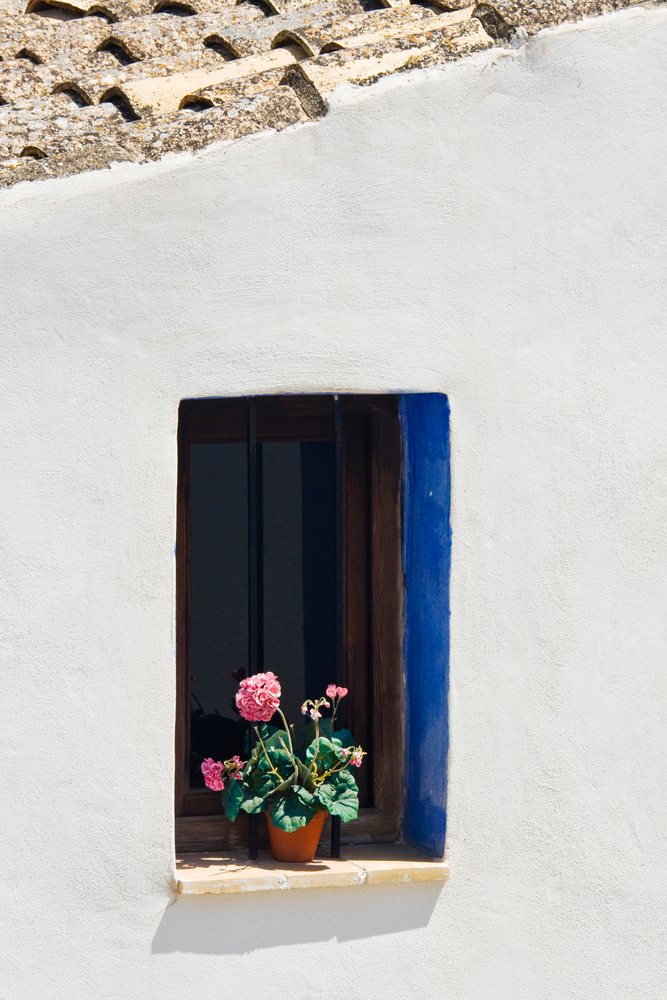 Potted plant with pink flowers on window sill Spain
