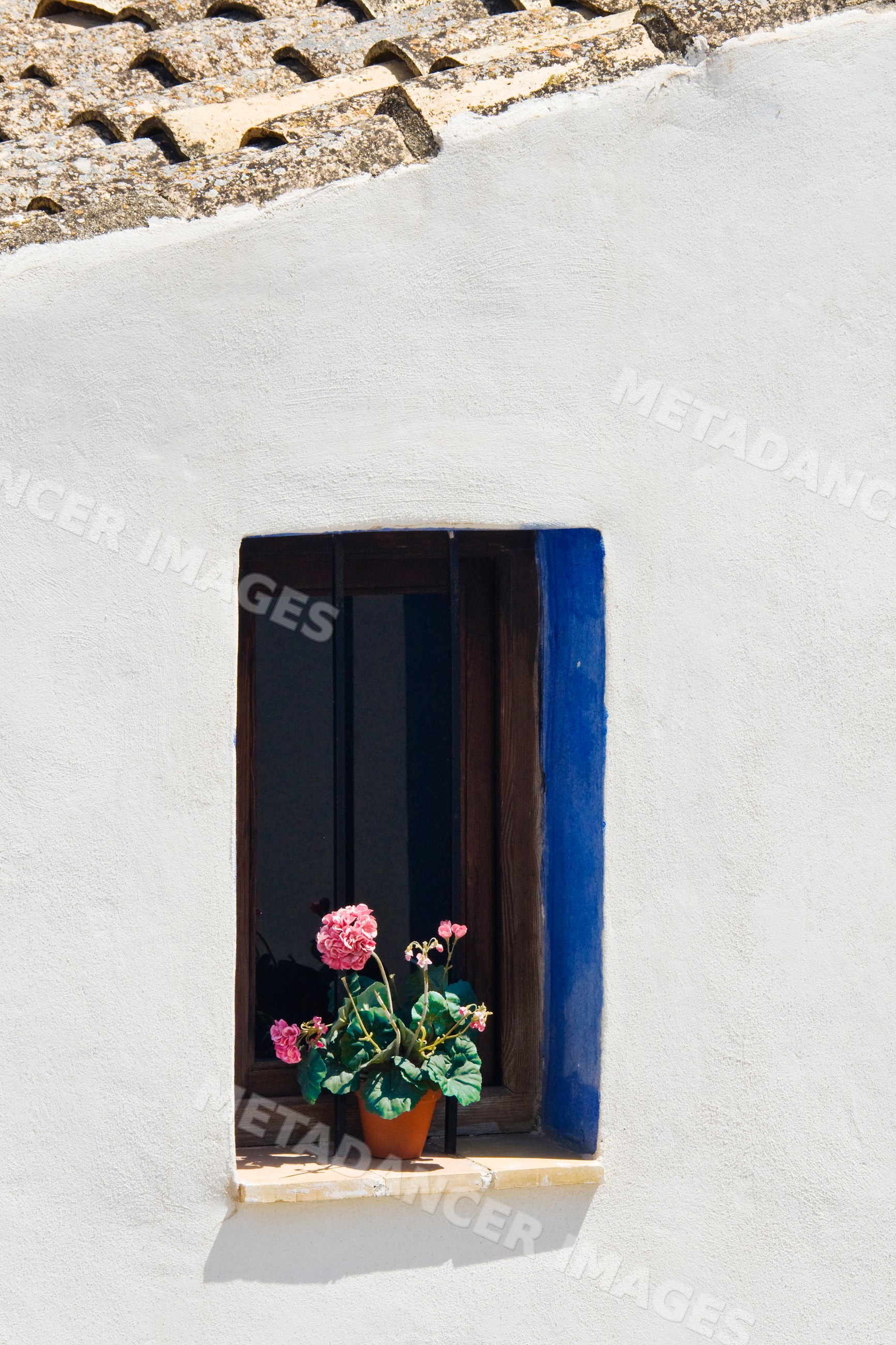 Potted plant with pink flowers on window sill Spain