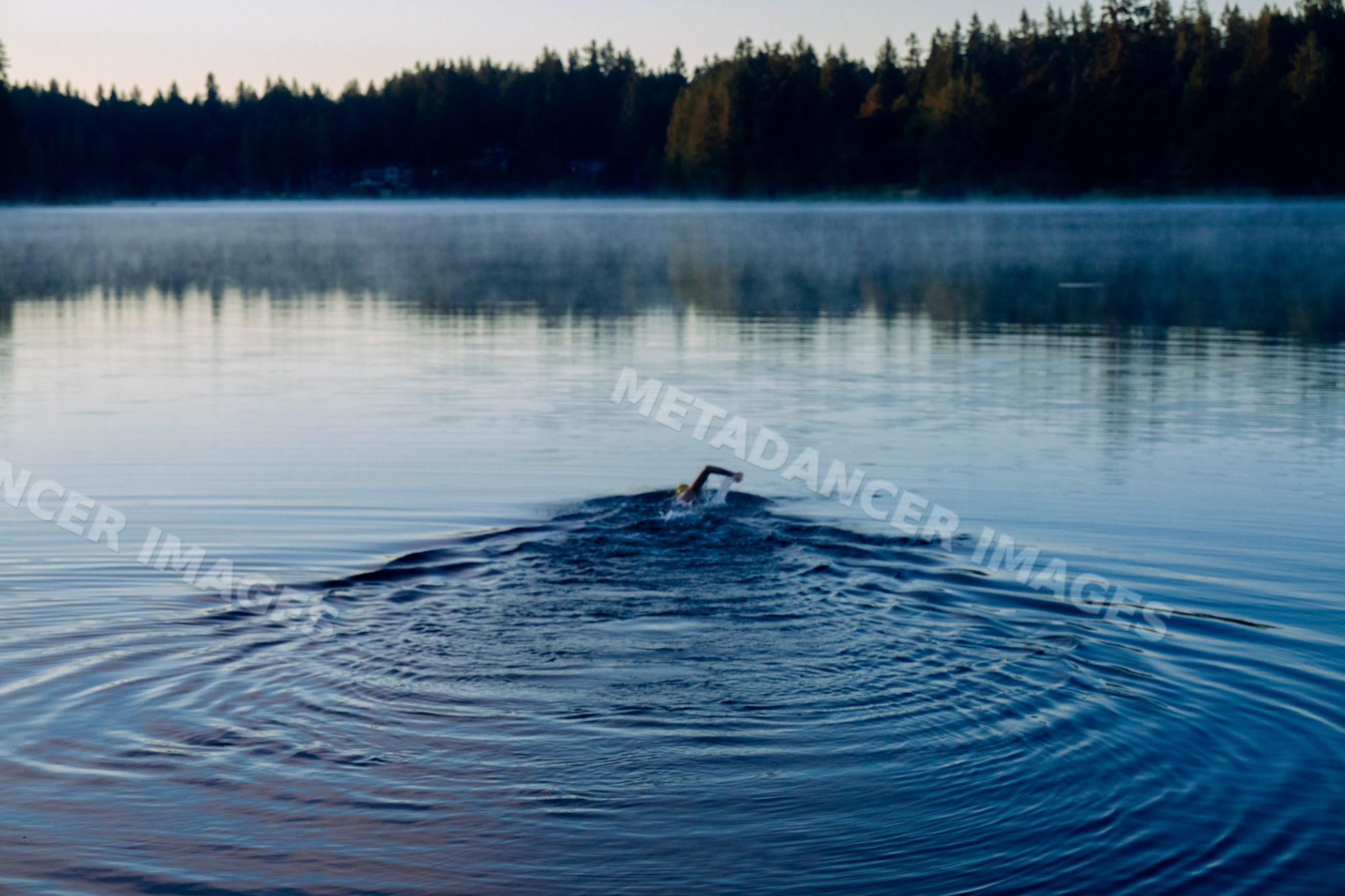 White swimmer doing freestyle stroke in calm misty lake