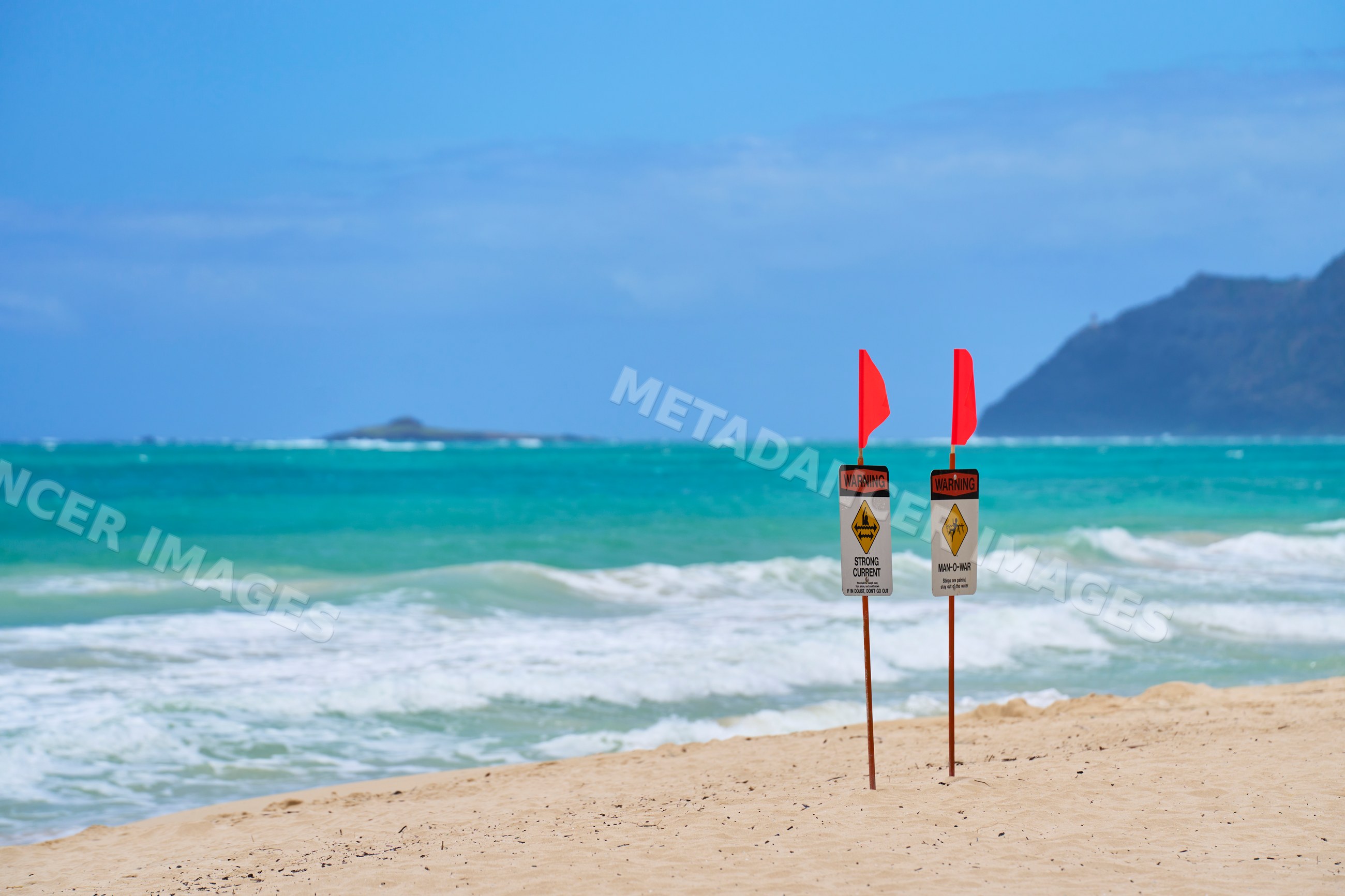 Warning signs with red flags on a sandy beach by ocean waves