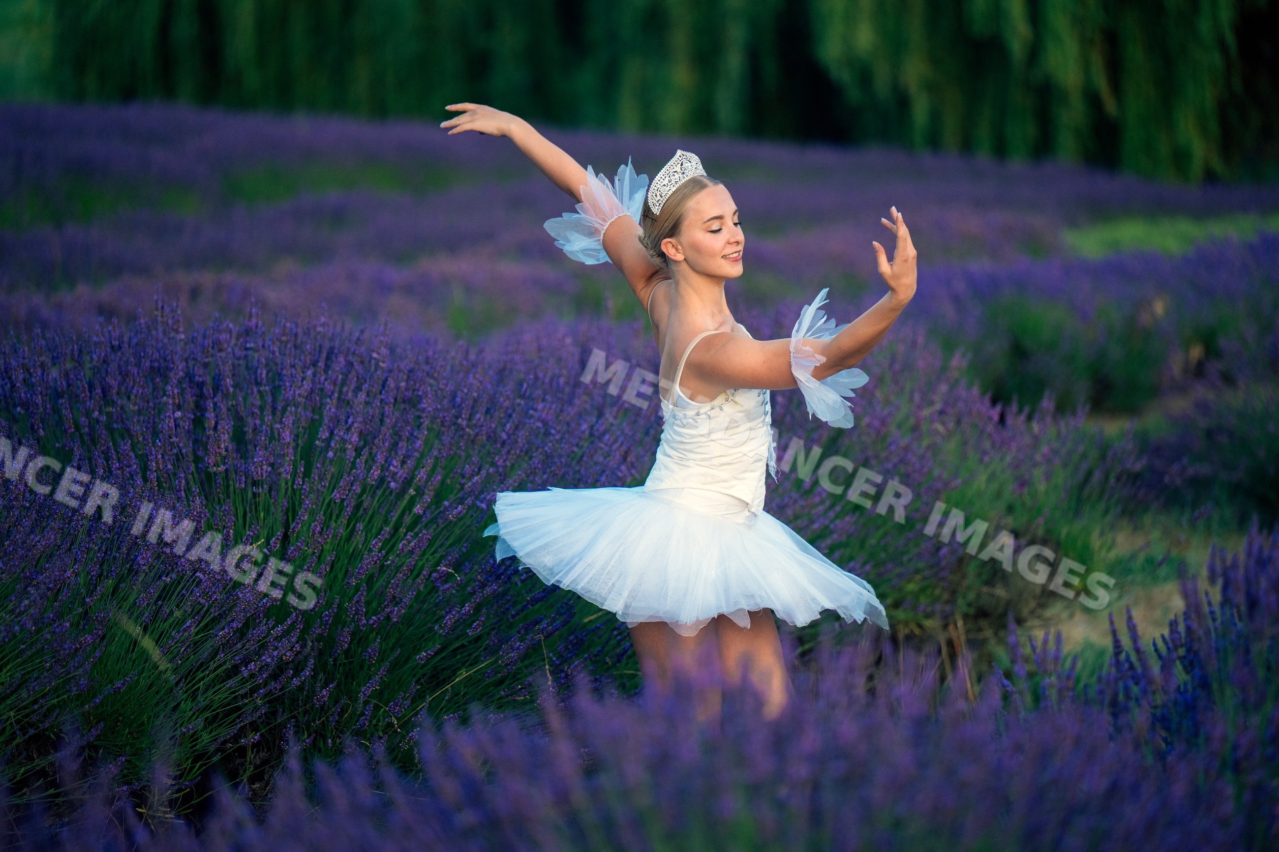 A ballerina dances gracefully in a lavender field in WA, USA