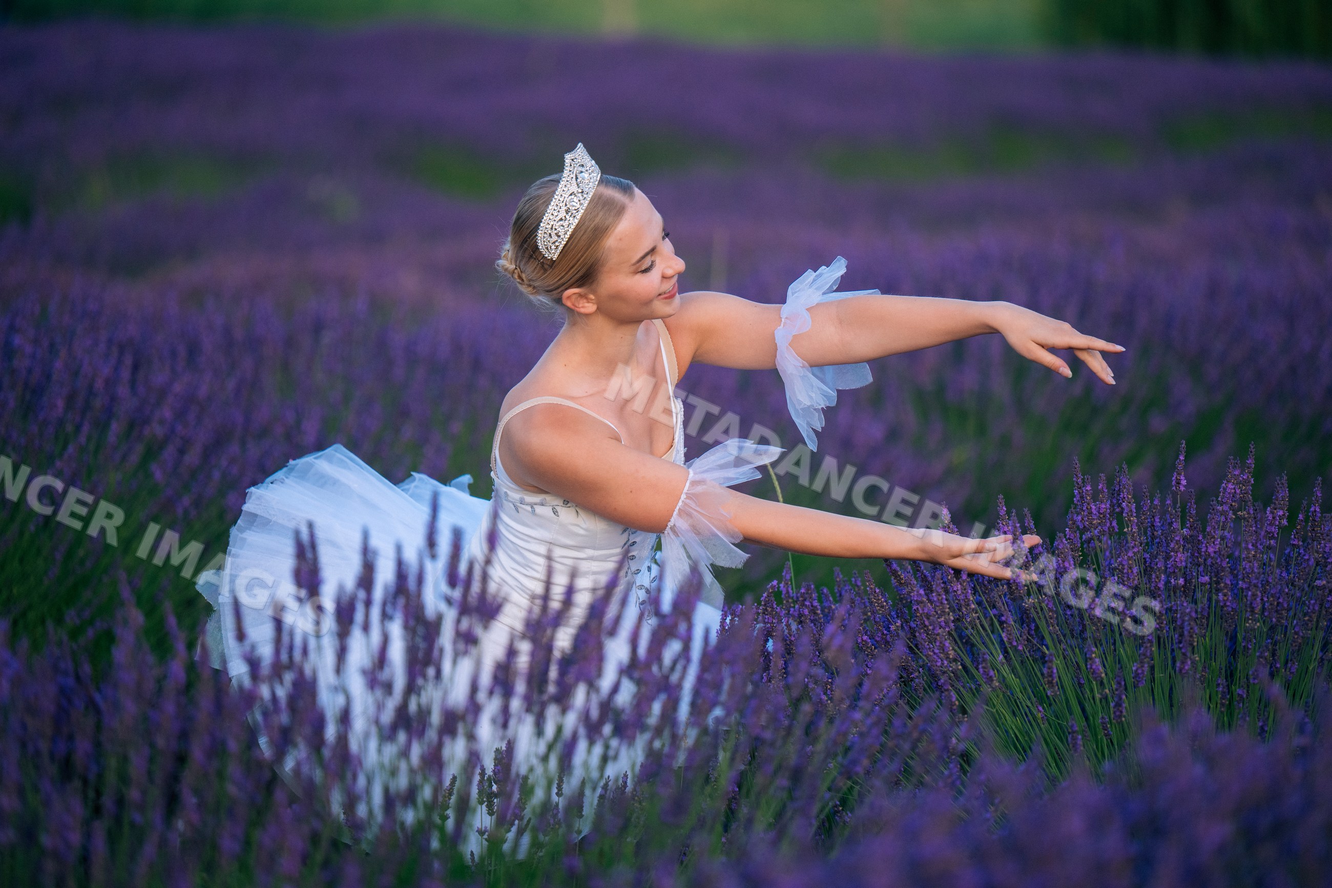 A ballerina in a lavender field gracefully poses among vibrant flowers