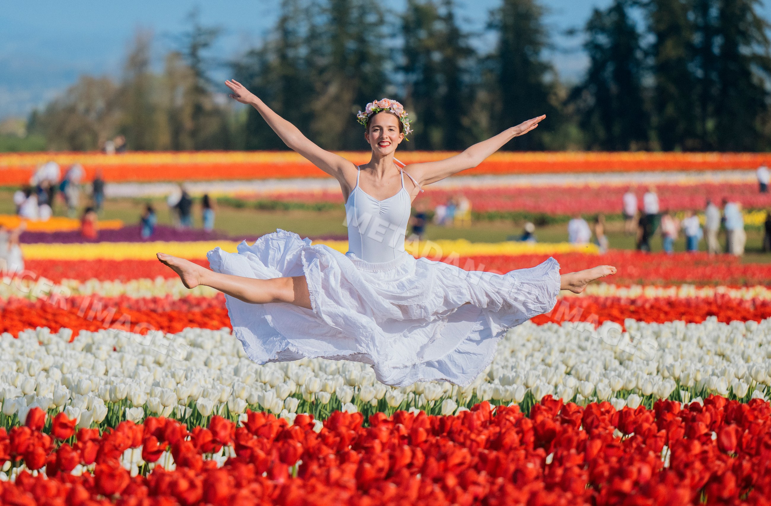 Ballet white dancer leaping in colorful tulip field