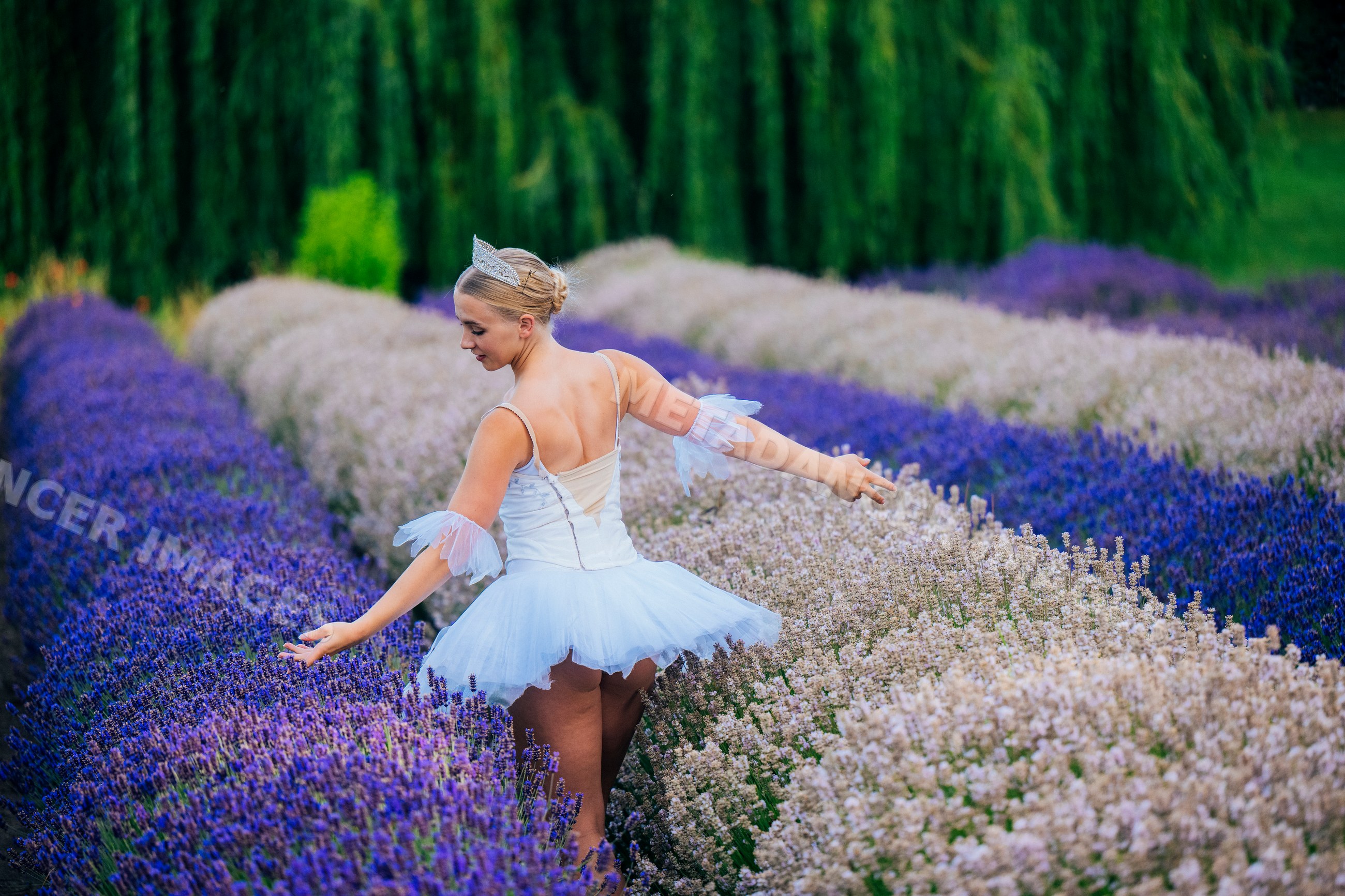 A ballerina dances gracefully in a flower field in WA, USA