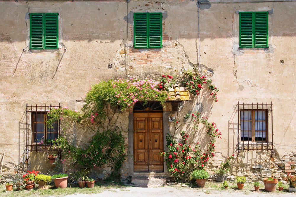 Rustic building with flowerpots and climbing vines, italy