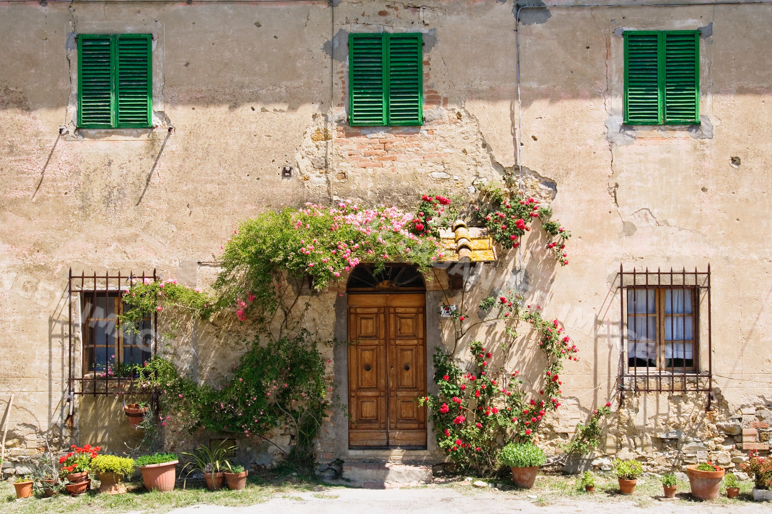 Rustic building with flowerpots and climbing vines, italy