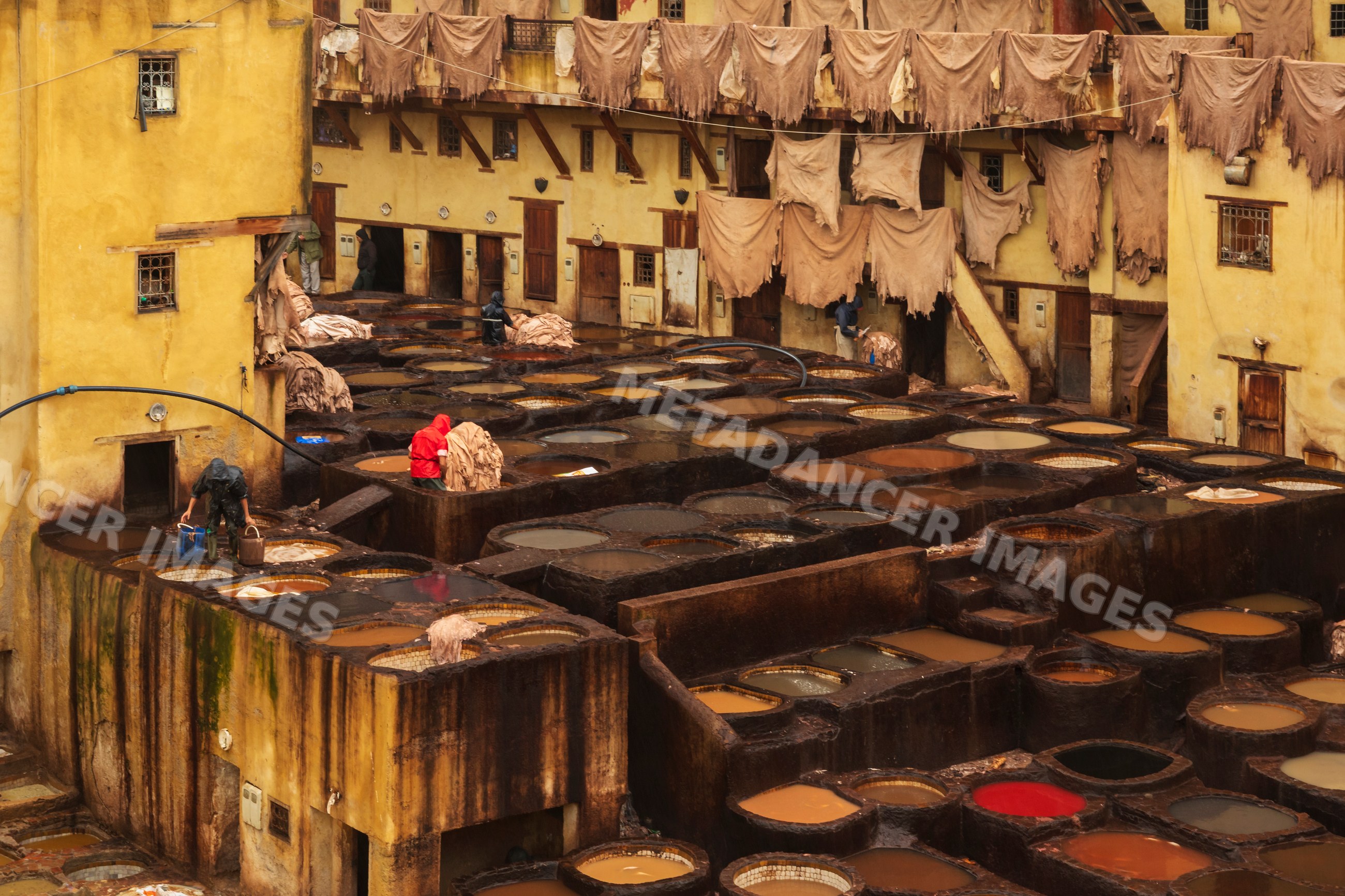 Chouara Tannery workers processing leather