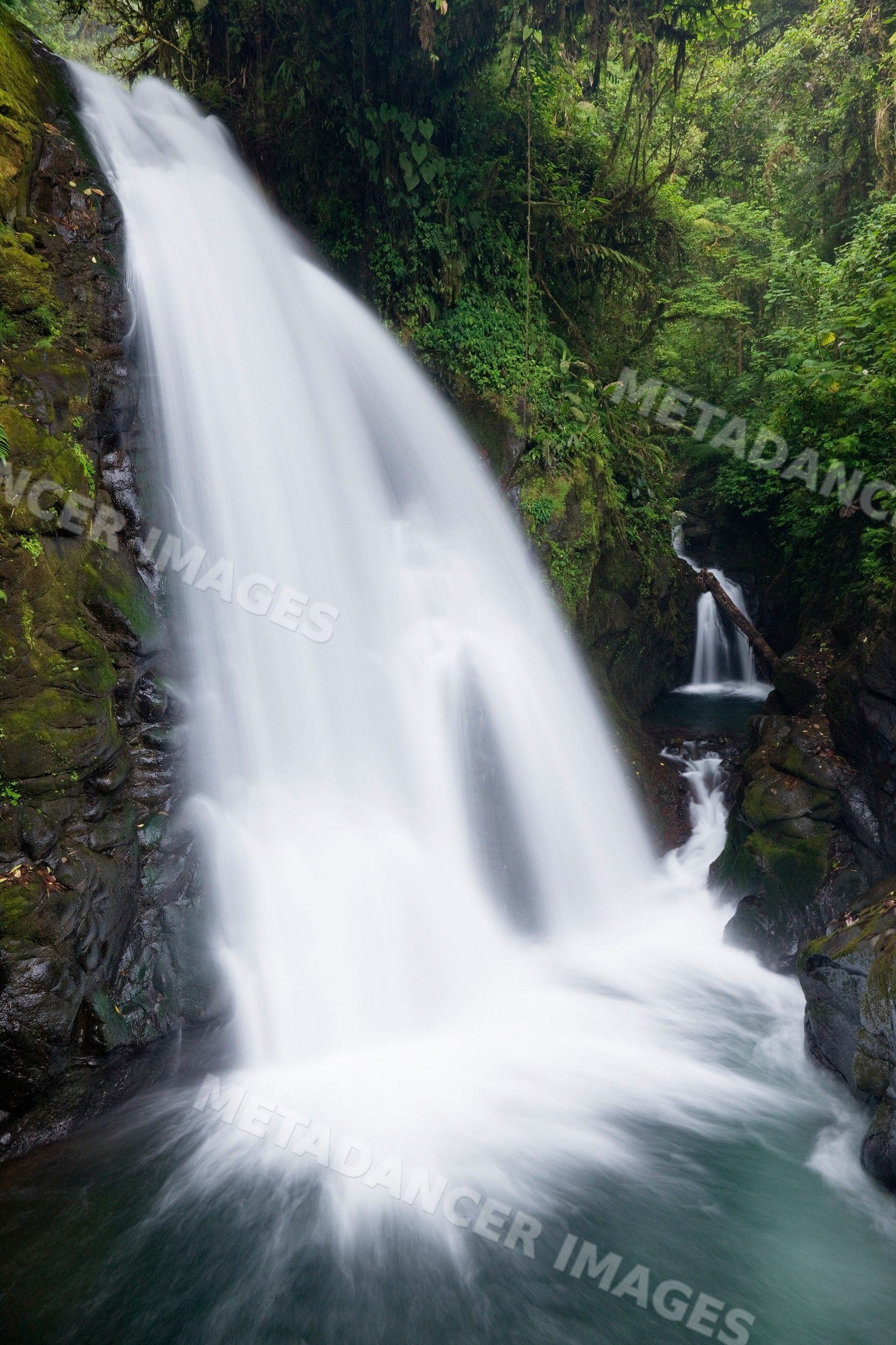 Waterfall flowing through lush tropical forest costa rica