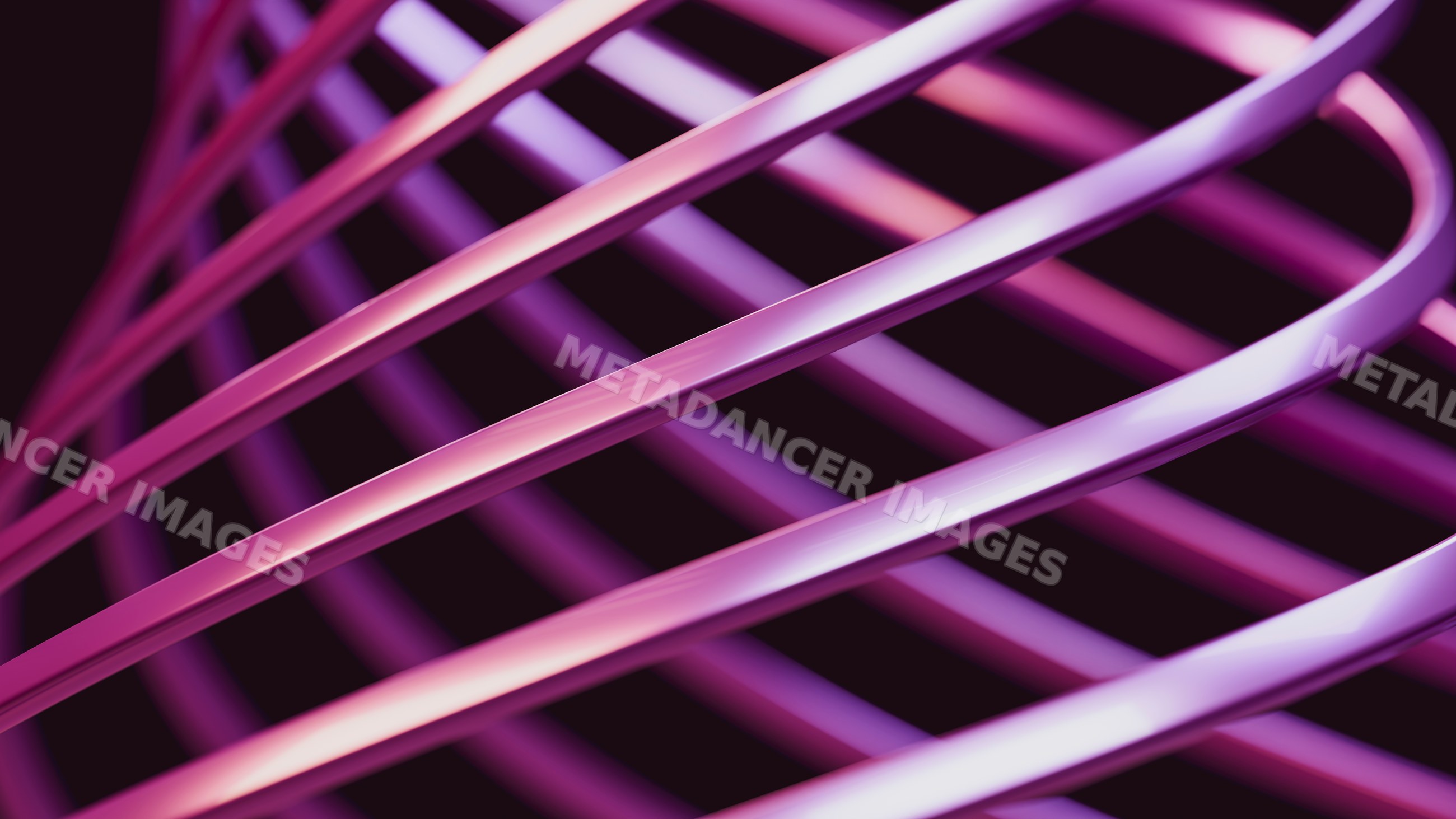 Abstract pink and purple curved lines in digital illustration