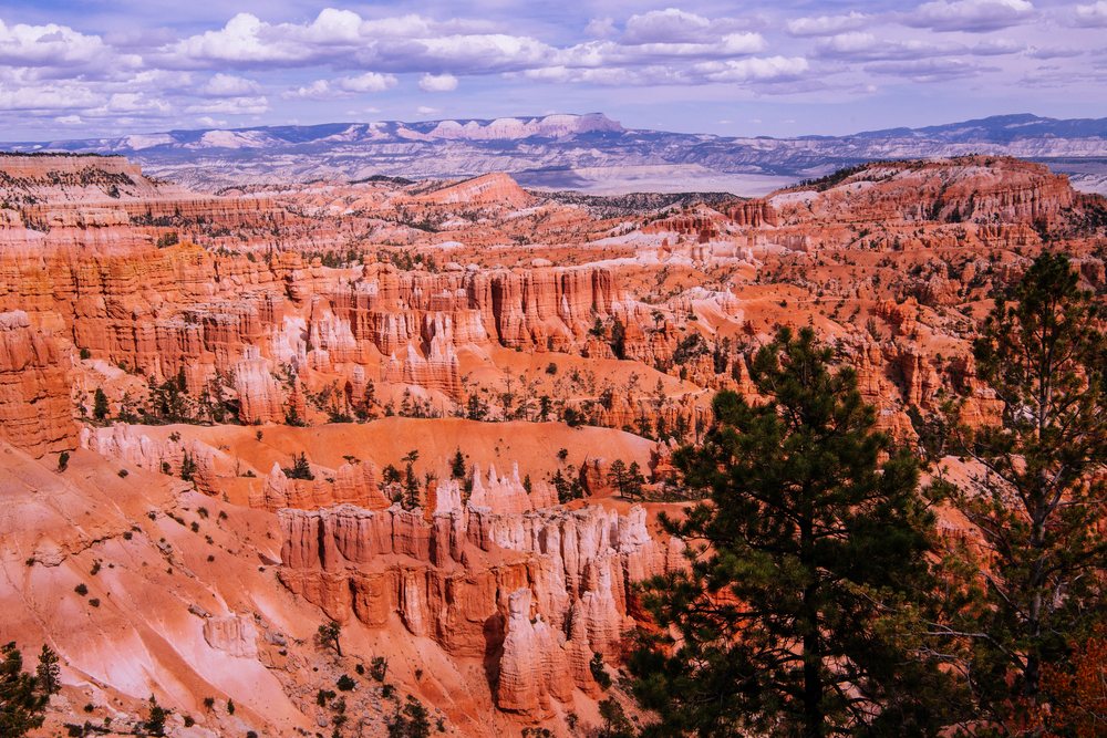 Scenic rock formations and pine trees