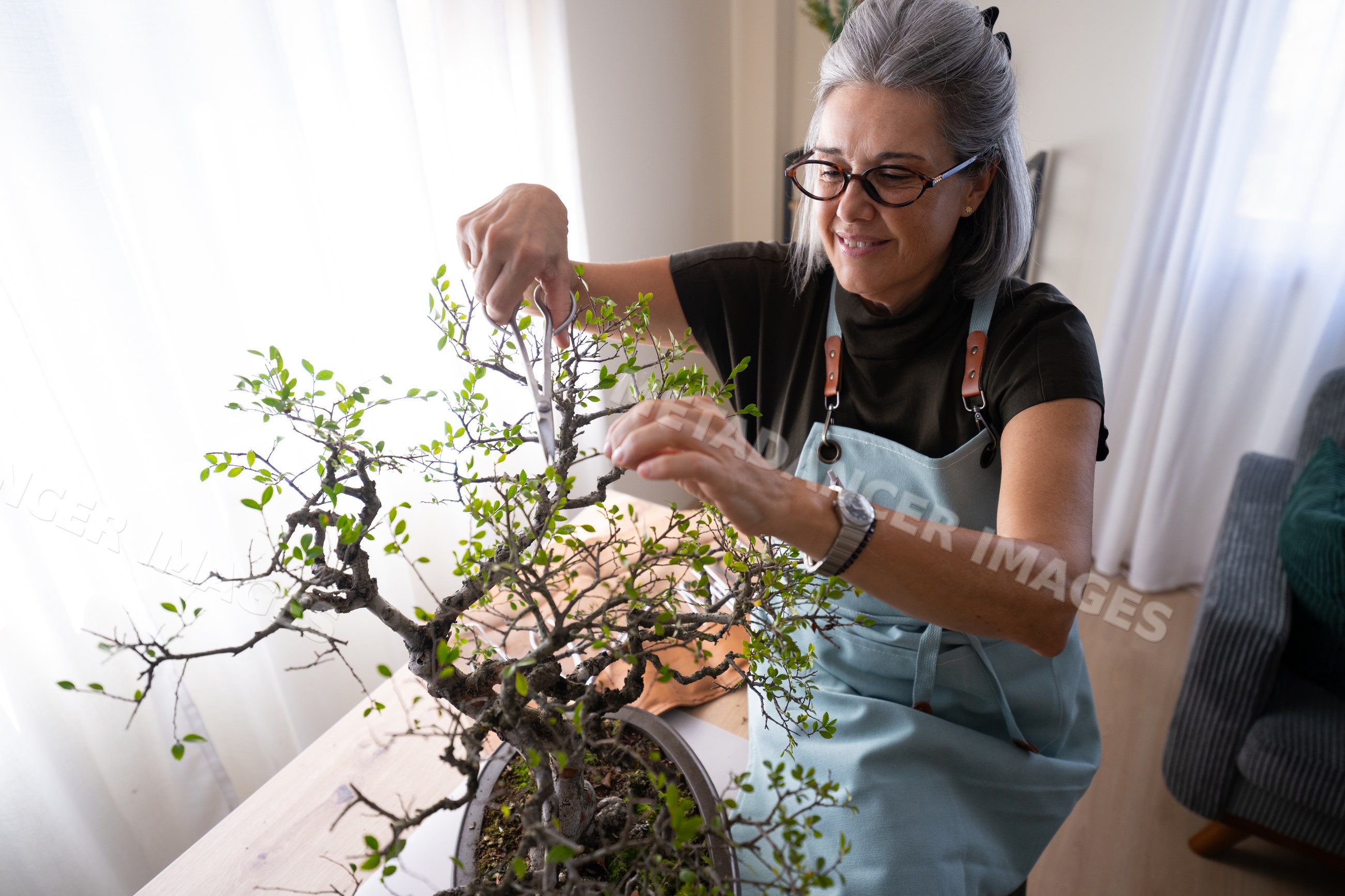 Mature white woman pruning bonsai tree indoors