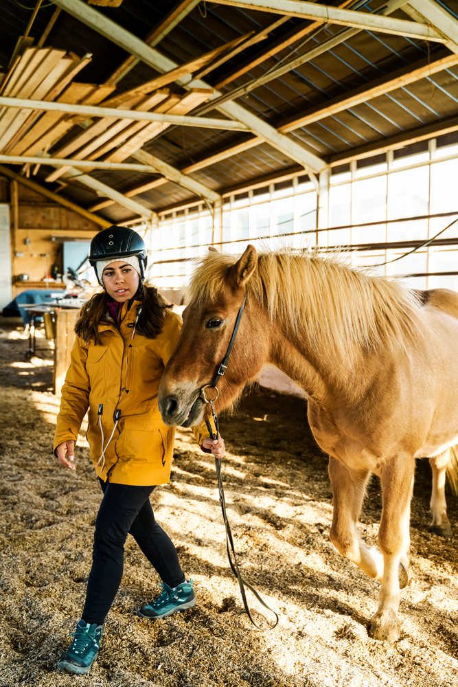 A white woman walks a brown horse in an indoor riding arena