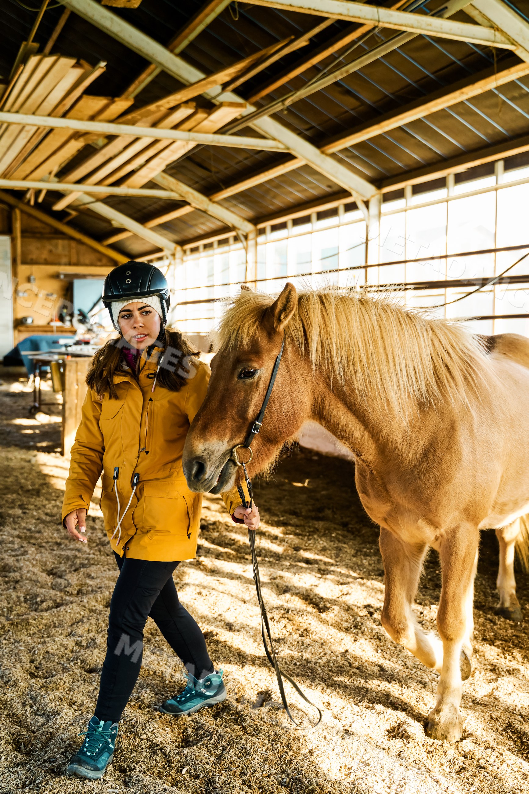 A white woman walks a brown horse in an indoor riding arena