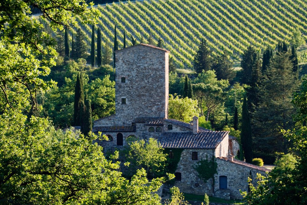 Stone farmhouse near vineyard italy