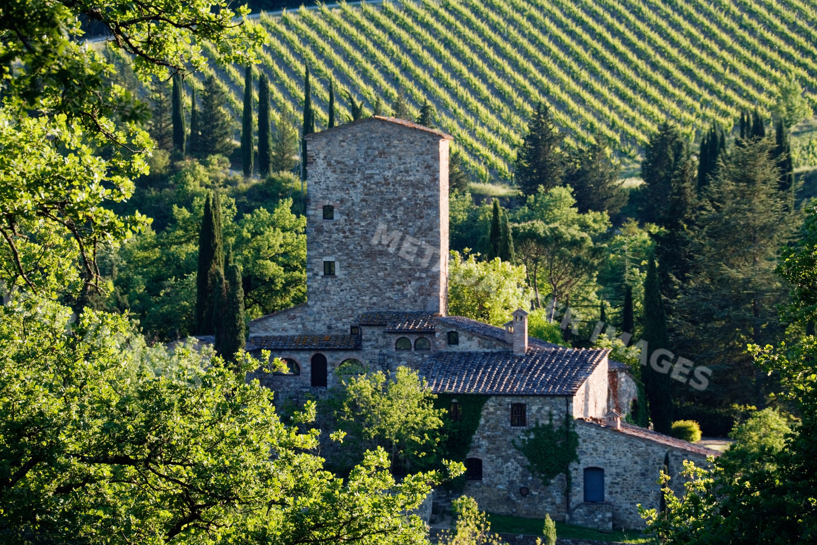 Stone farmhouse near vineyard italy