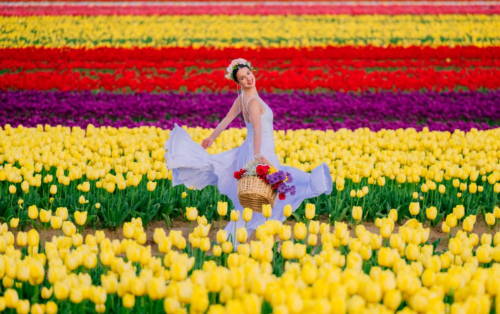 Ballet white dancer twirling with flower basket in vibrant tulip field