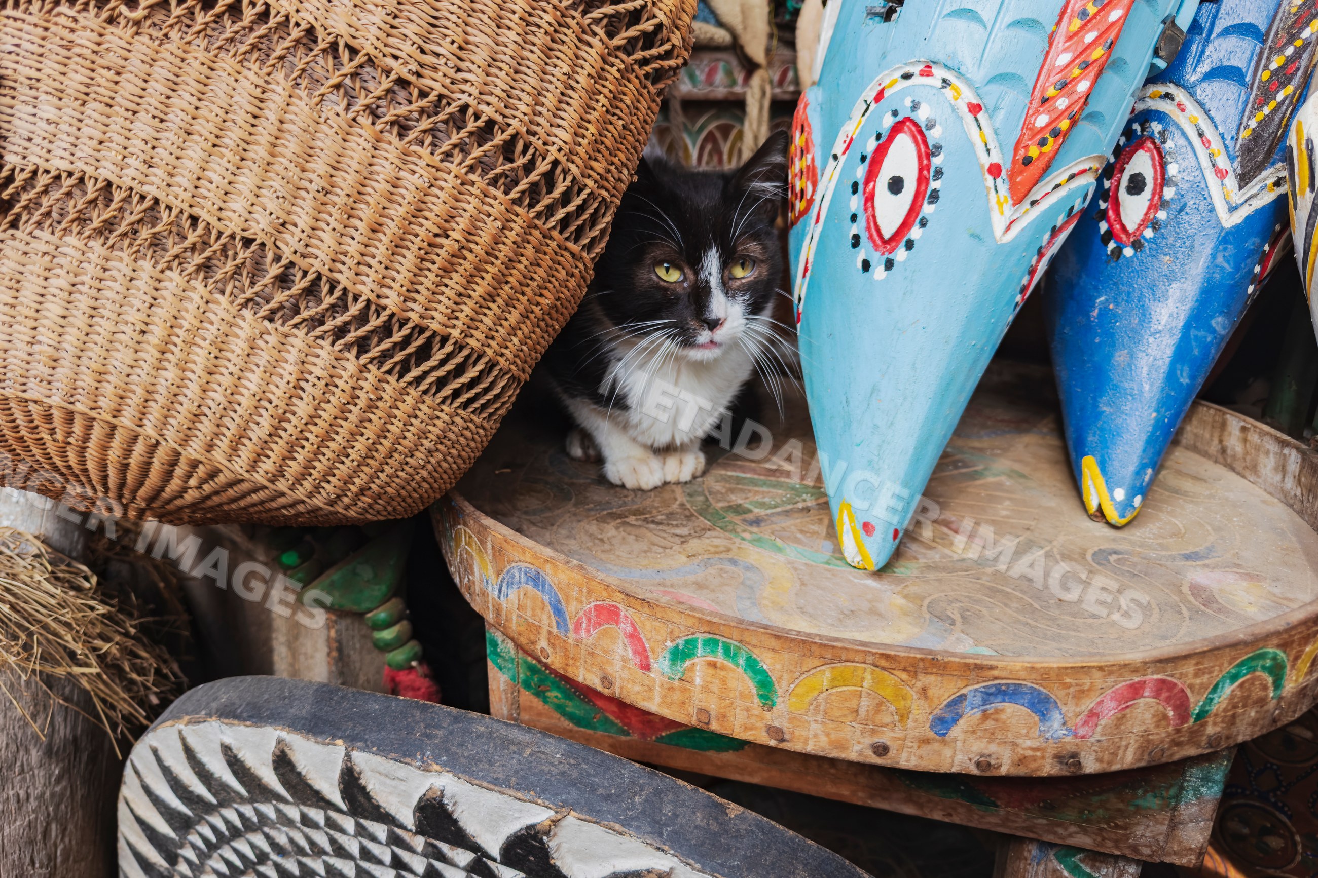 Cat resting among woven basket and painted masks