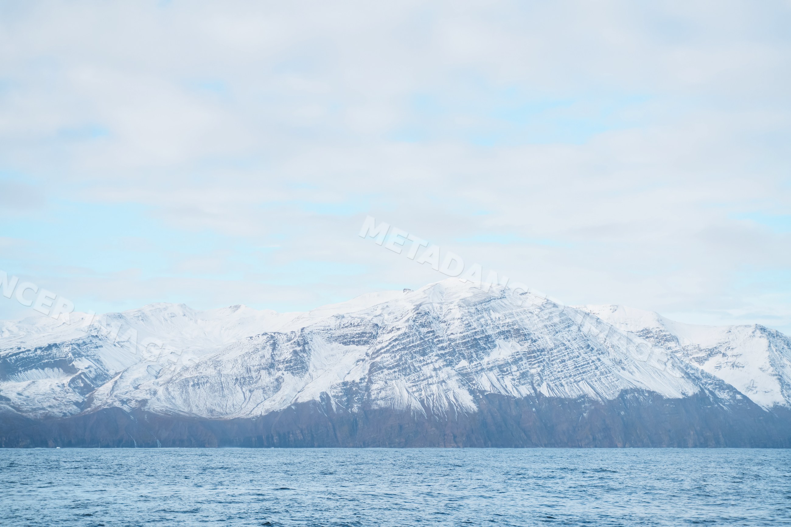 Snow-covered mountain range overlooks calm ocean water