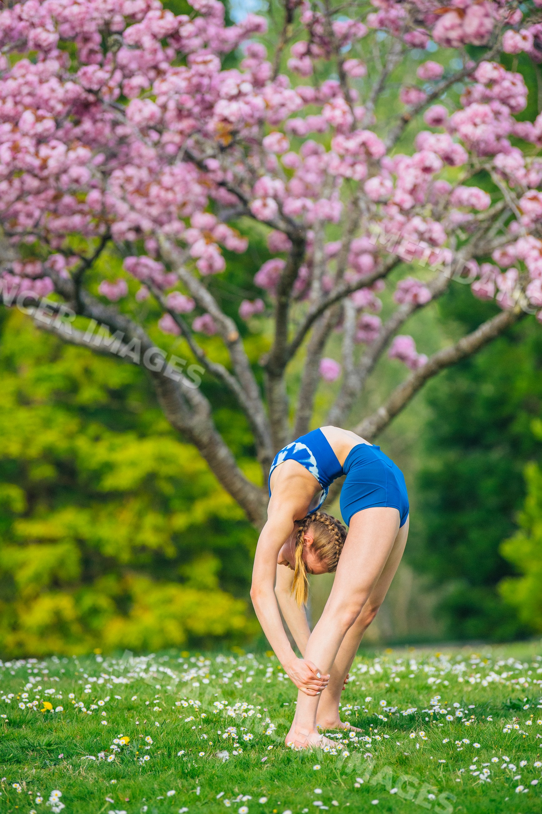 White woman stretching on grassy field with blossoming tree in spring