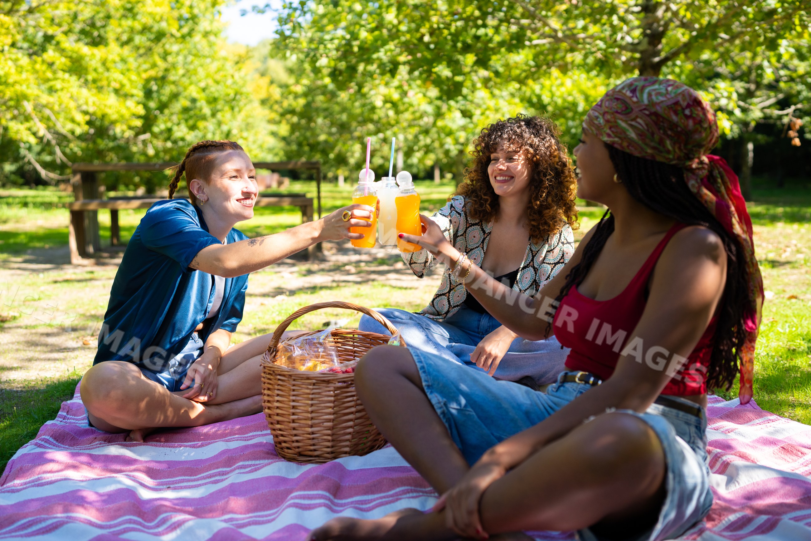 Friends enjoying a picnic toast with orange juice in a sunny park
