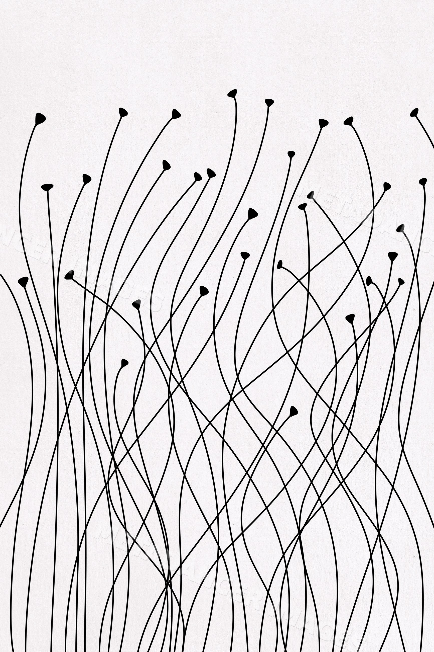 Illustration of thin Black curved lines resembling plant stems