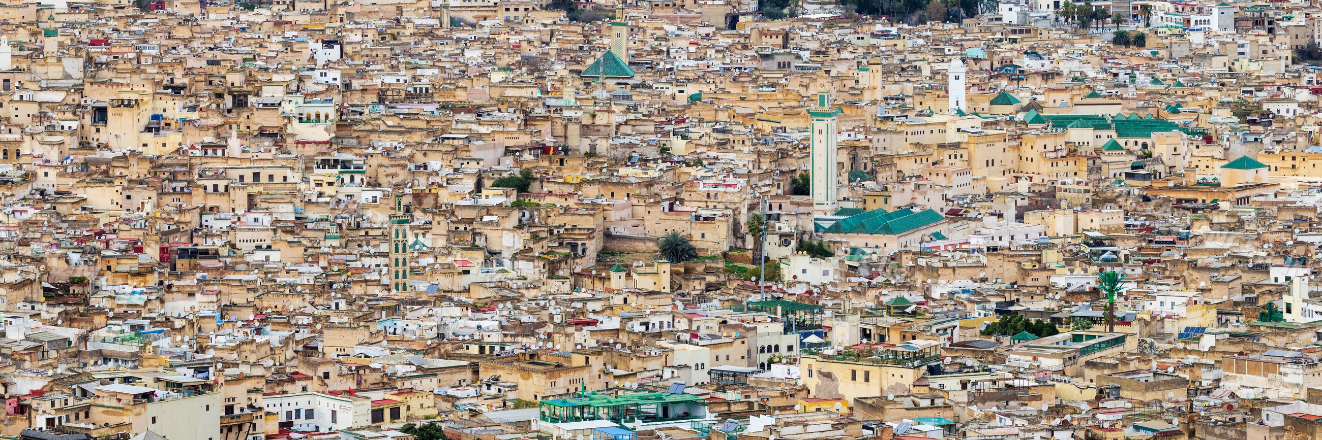 Skyline of the Medina in Fes