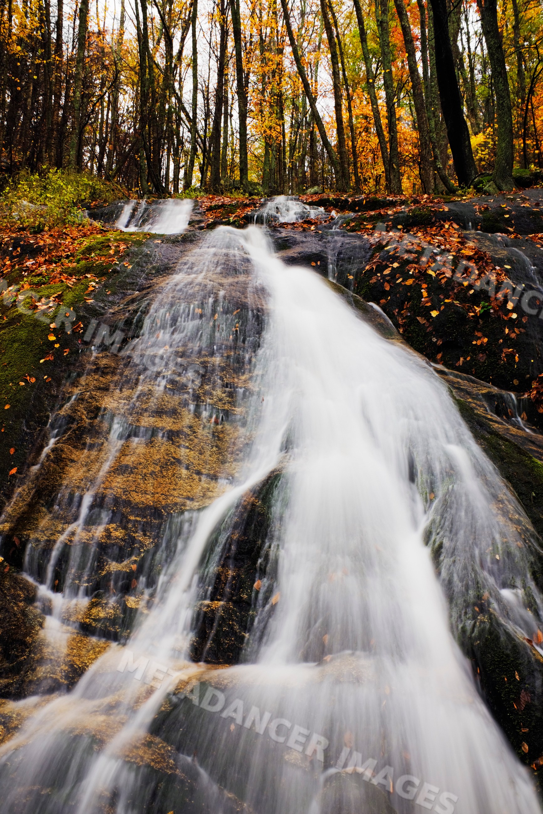Waterfall flowing through forest with autumn foliage