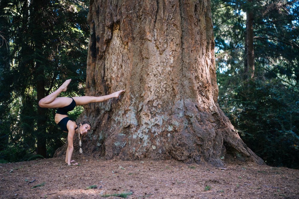 Contortionist white woman doing handstand beside tree trunk in forest