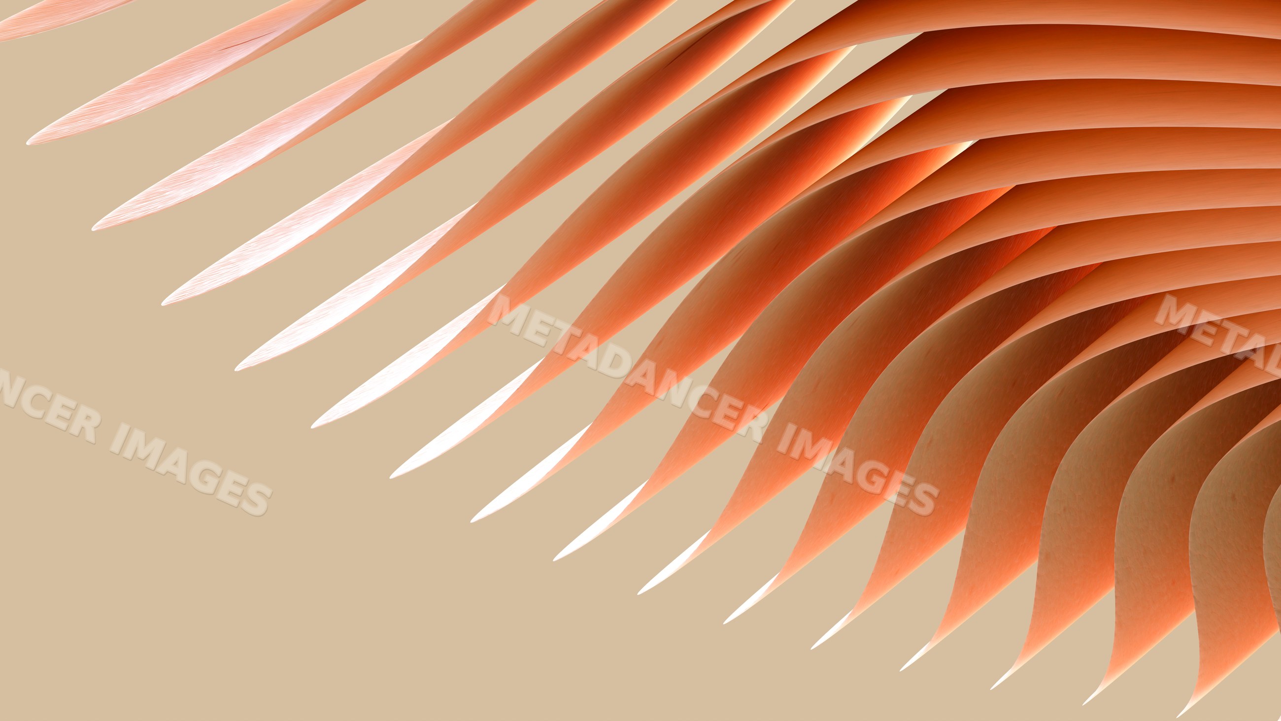 Abstract orange curved shapes forming layered pattern