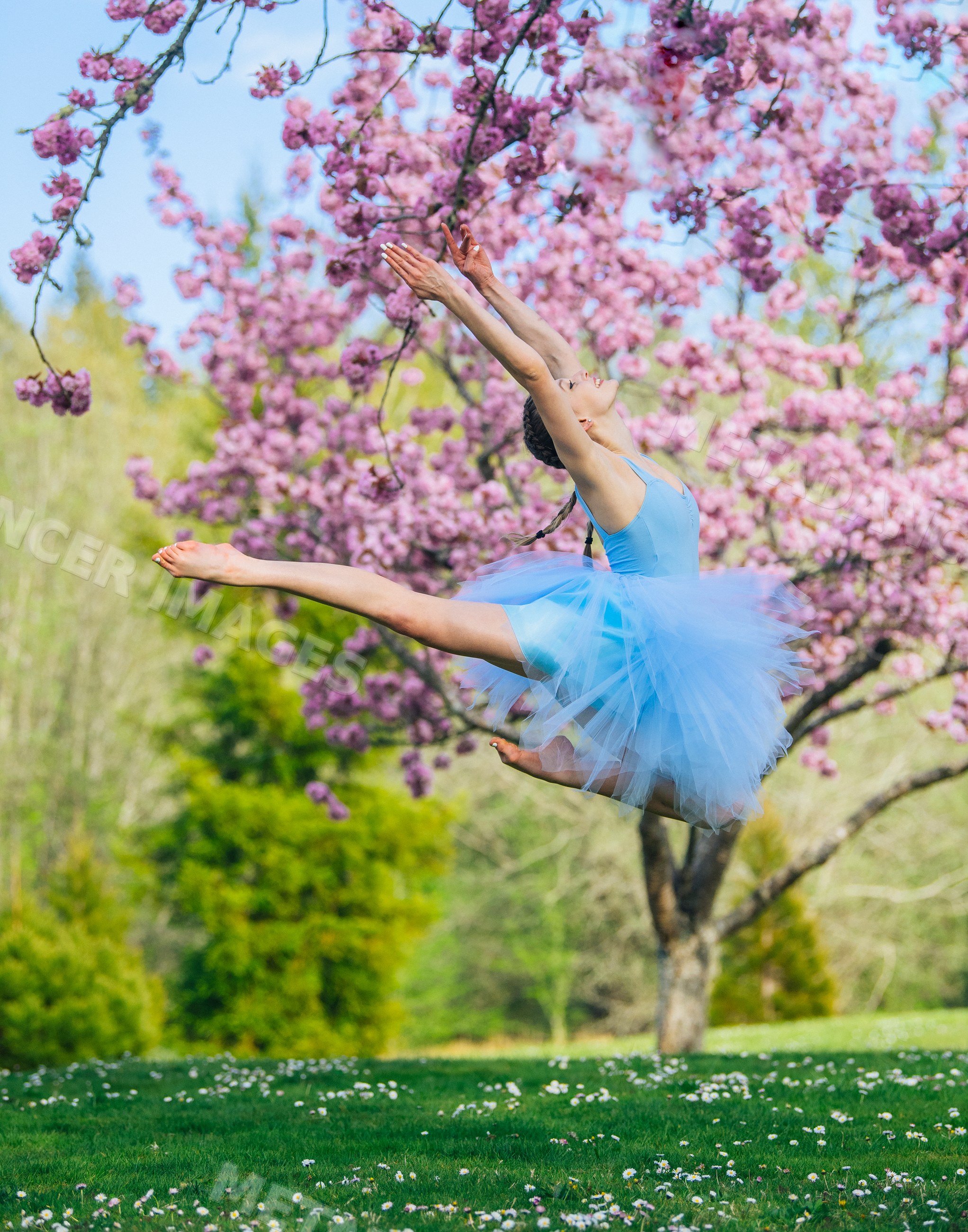 Ballet white dancer leaping near flowering tree outdoors in spring