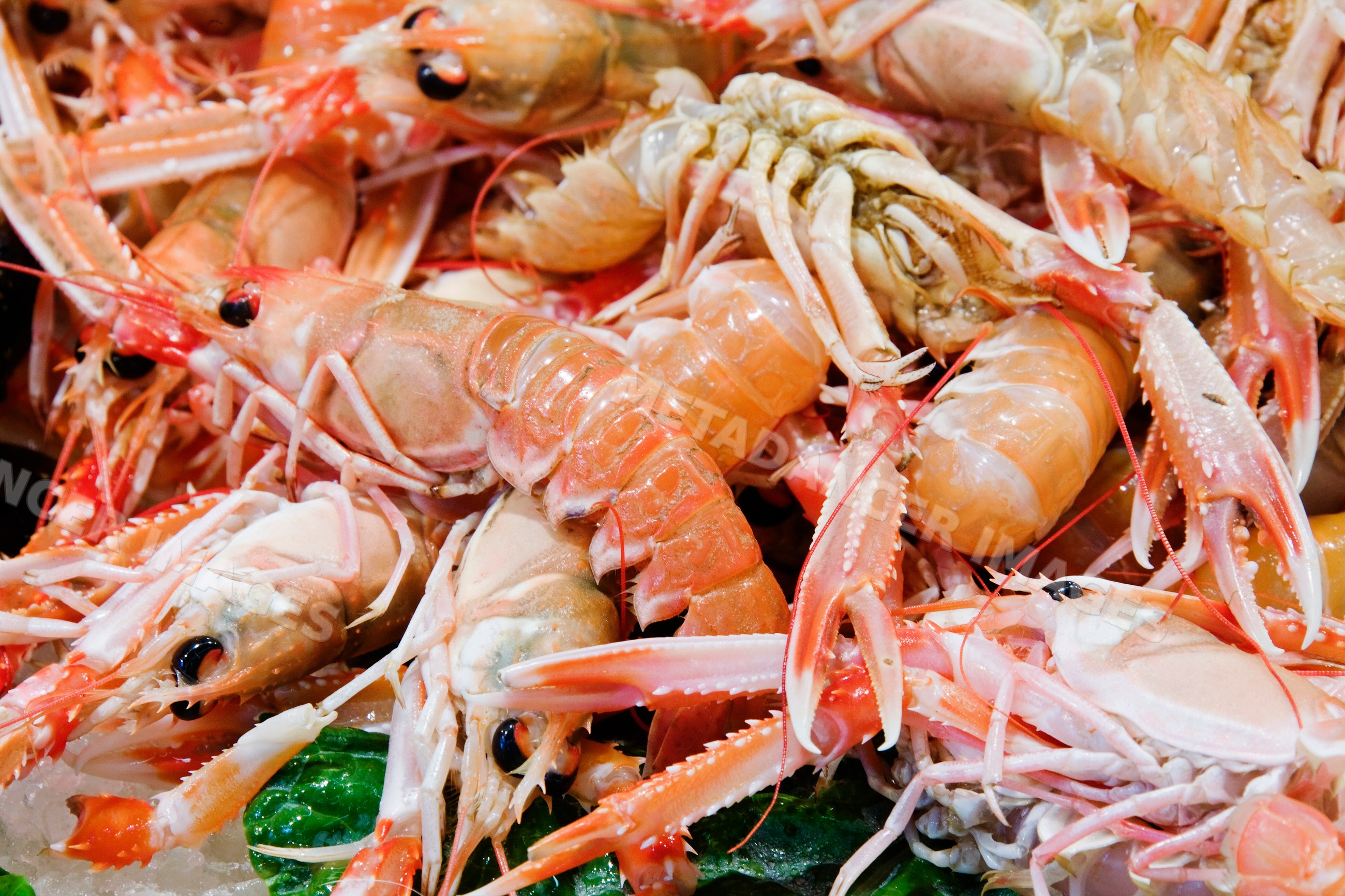 Fresh seafood with langoustine and scampi market