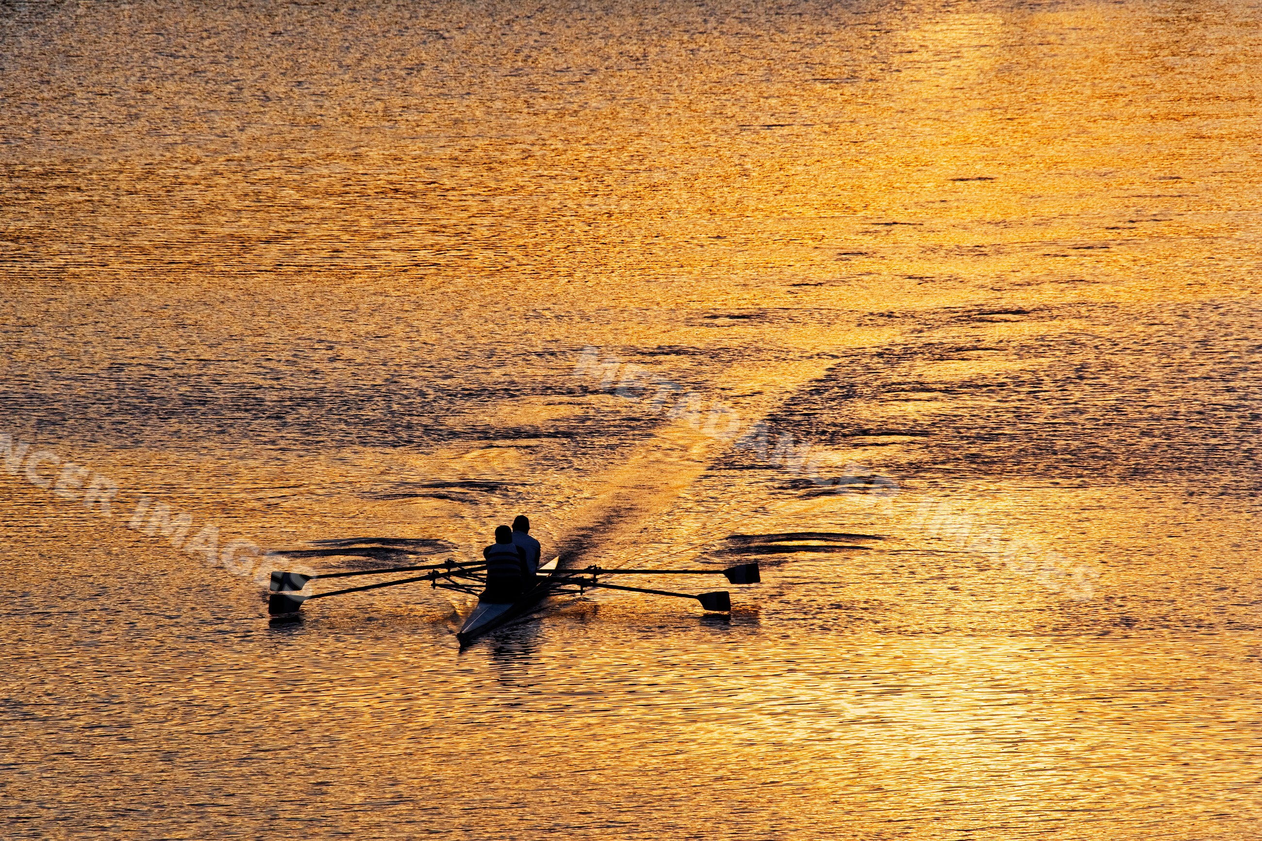 Two rowers propel a boat across water