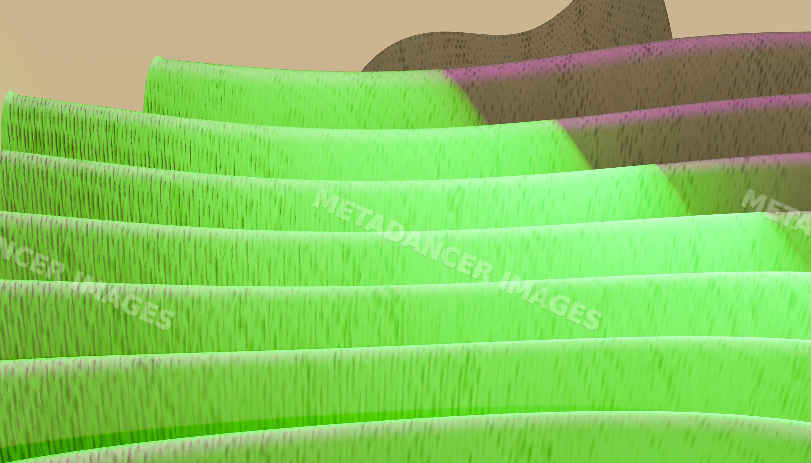 Close-up view of green flower petals with soft purple edges