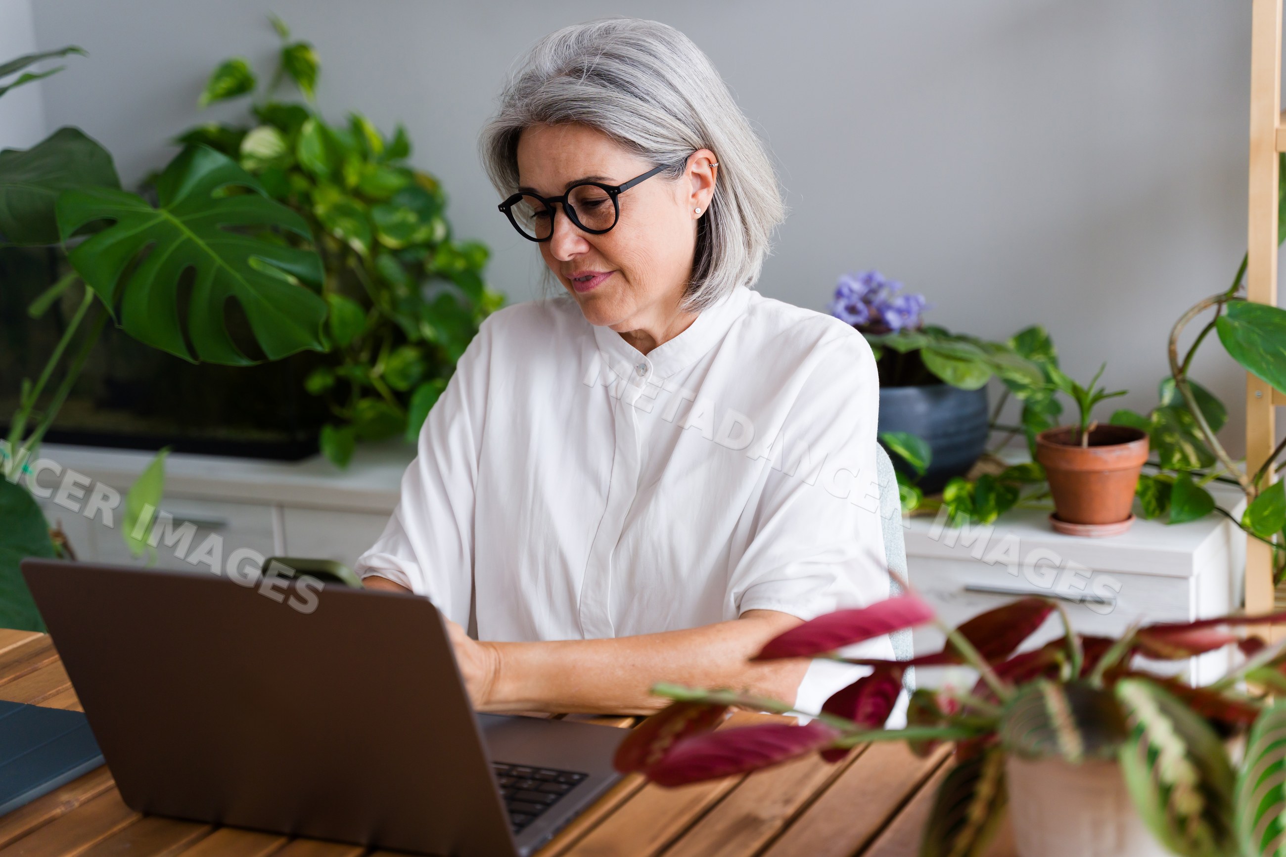 White Woman with gray hair working on laptop with smartphone