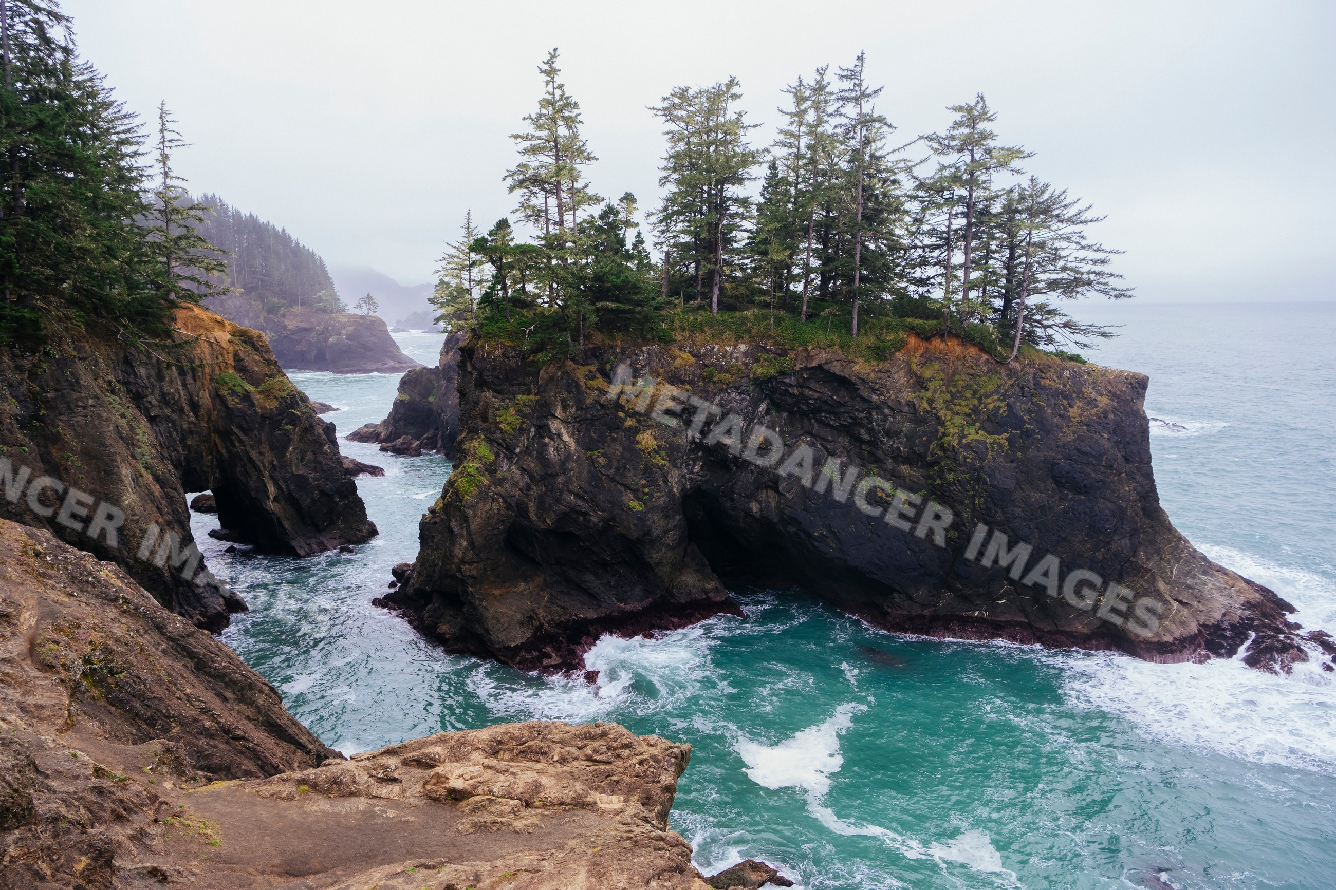 Rocky coastal cliffs with trees and ocean waves Oregon