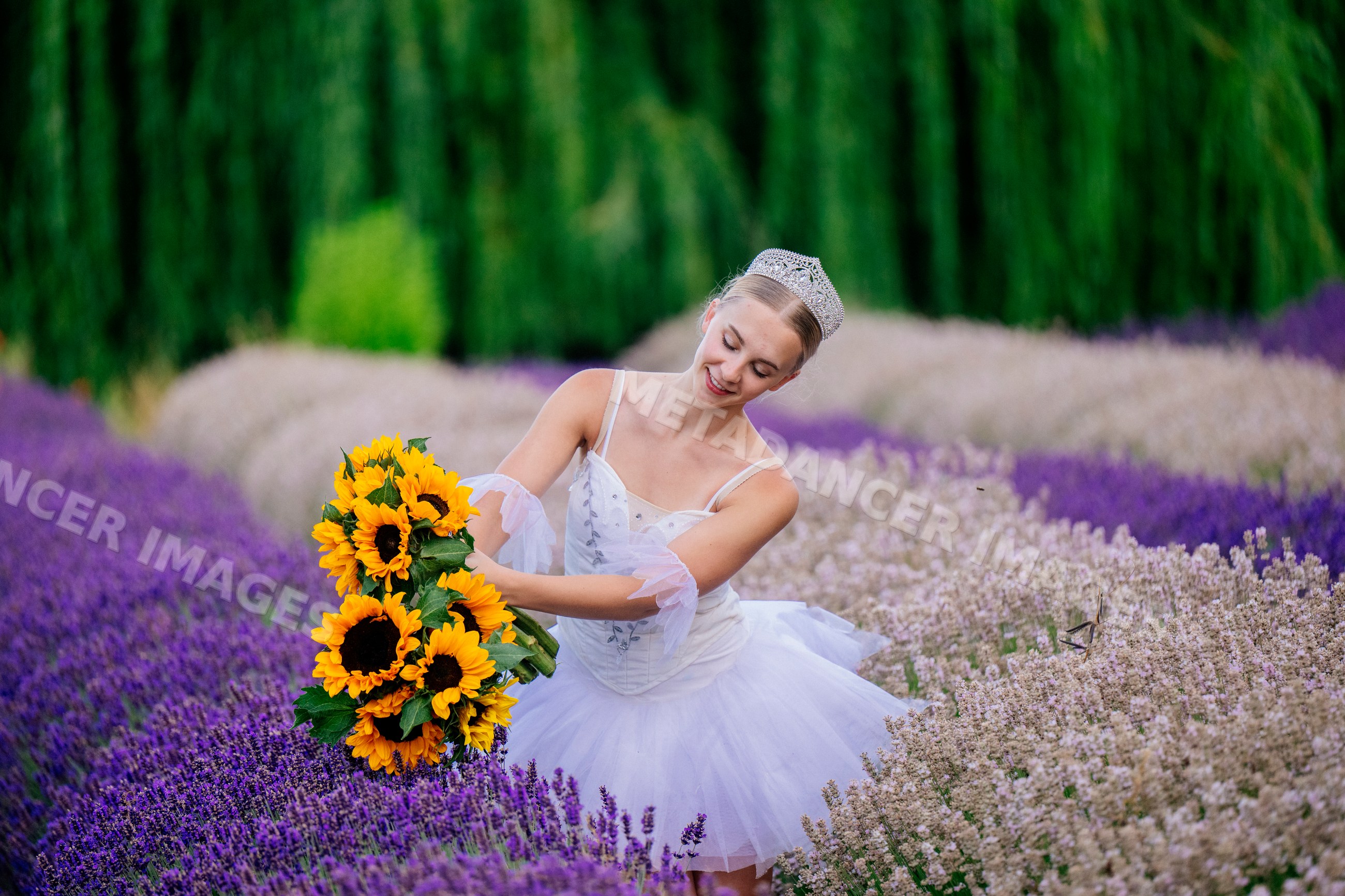 A ballerina holds sunflowers