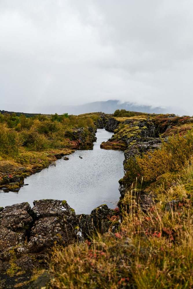 A river flows through mossy rocky terrain with autumn foliage